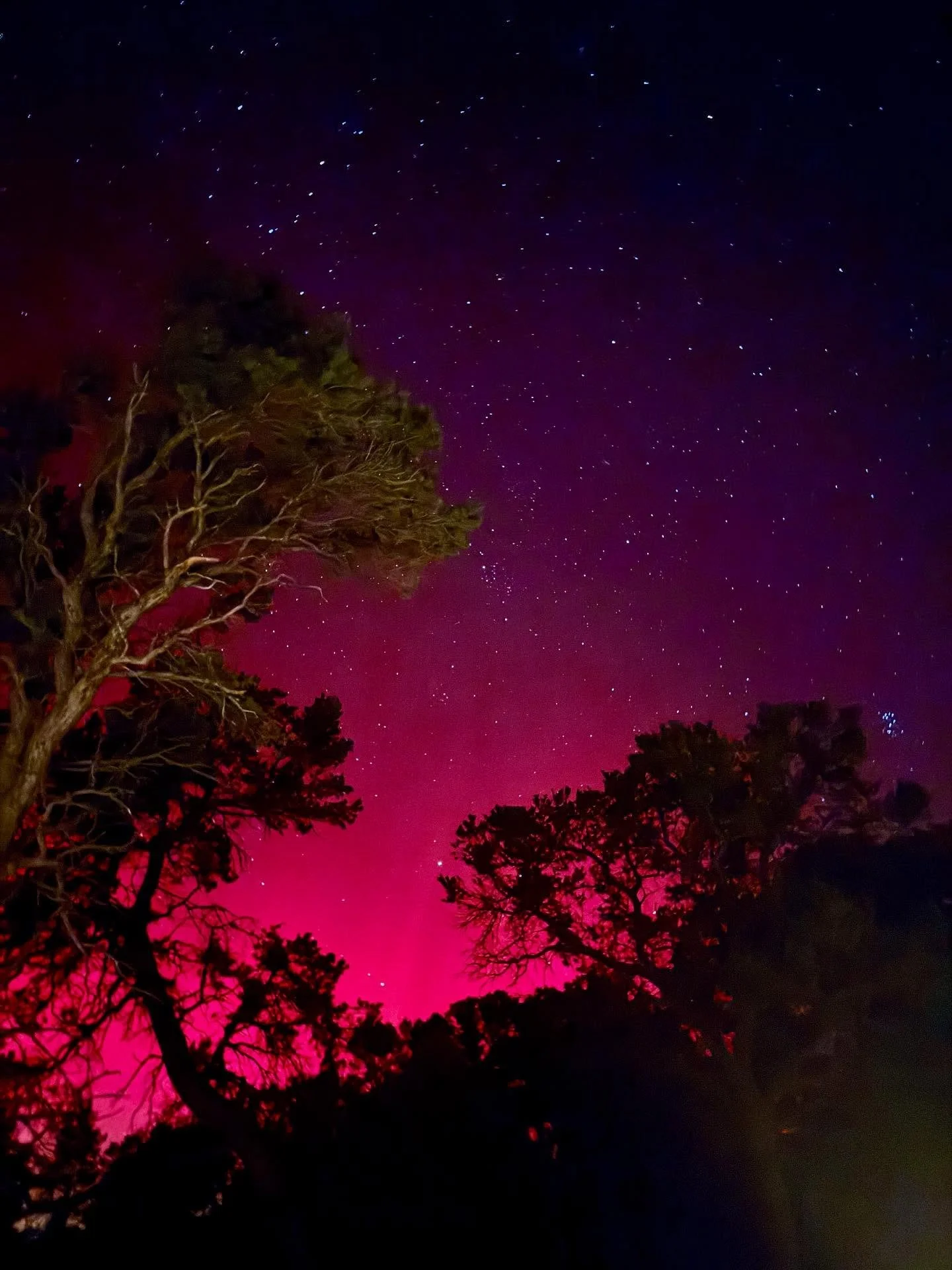 Besides being amazing, beautiful, etc etc what i loved was all of my neighbors and friends from near and far were texting posting and in awe of this special event. 
#nothernlights #carbondalecolorado #lifeintherockies