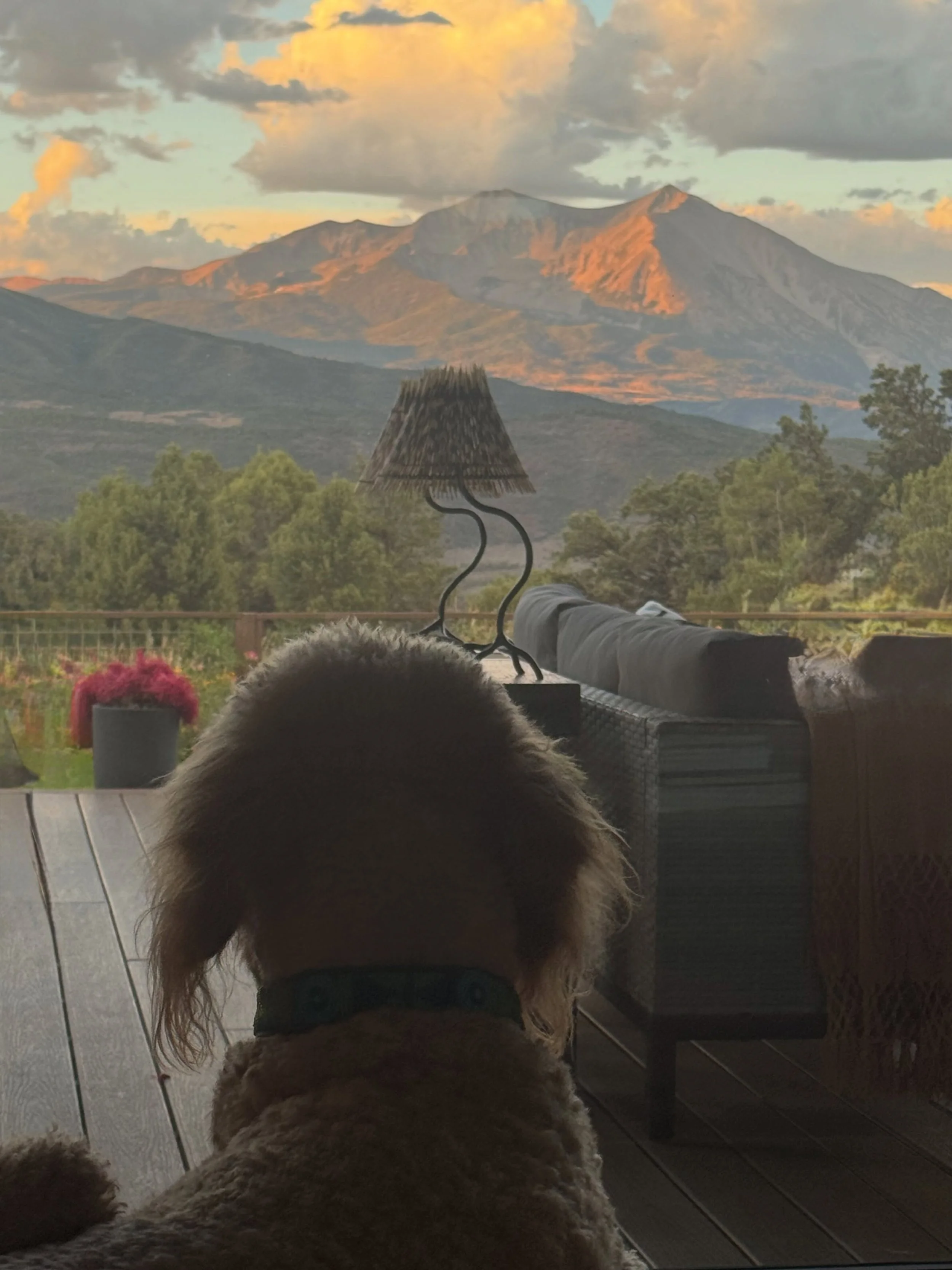 Sunrise! Hank, Mt Sopris and a great cup of coffee.
ahhhhhh❤️. #coloradosunrise #Mtsopris #doodlelove #mornings #aspencolorado