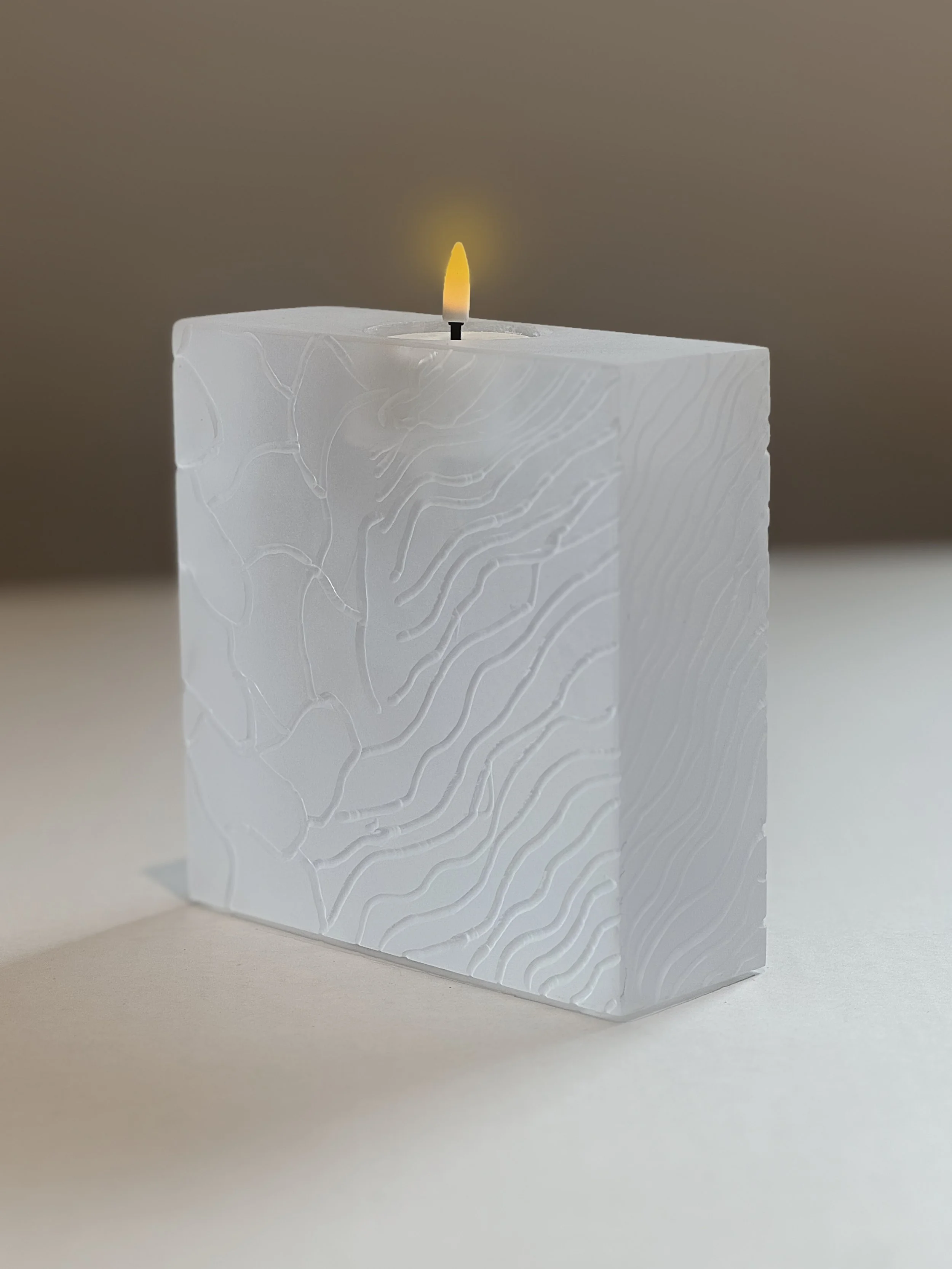 rectangular Lions hair parched .jpg