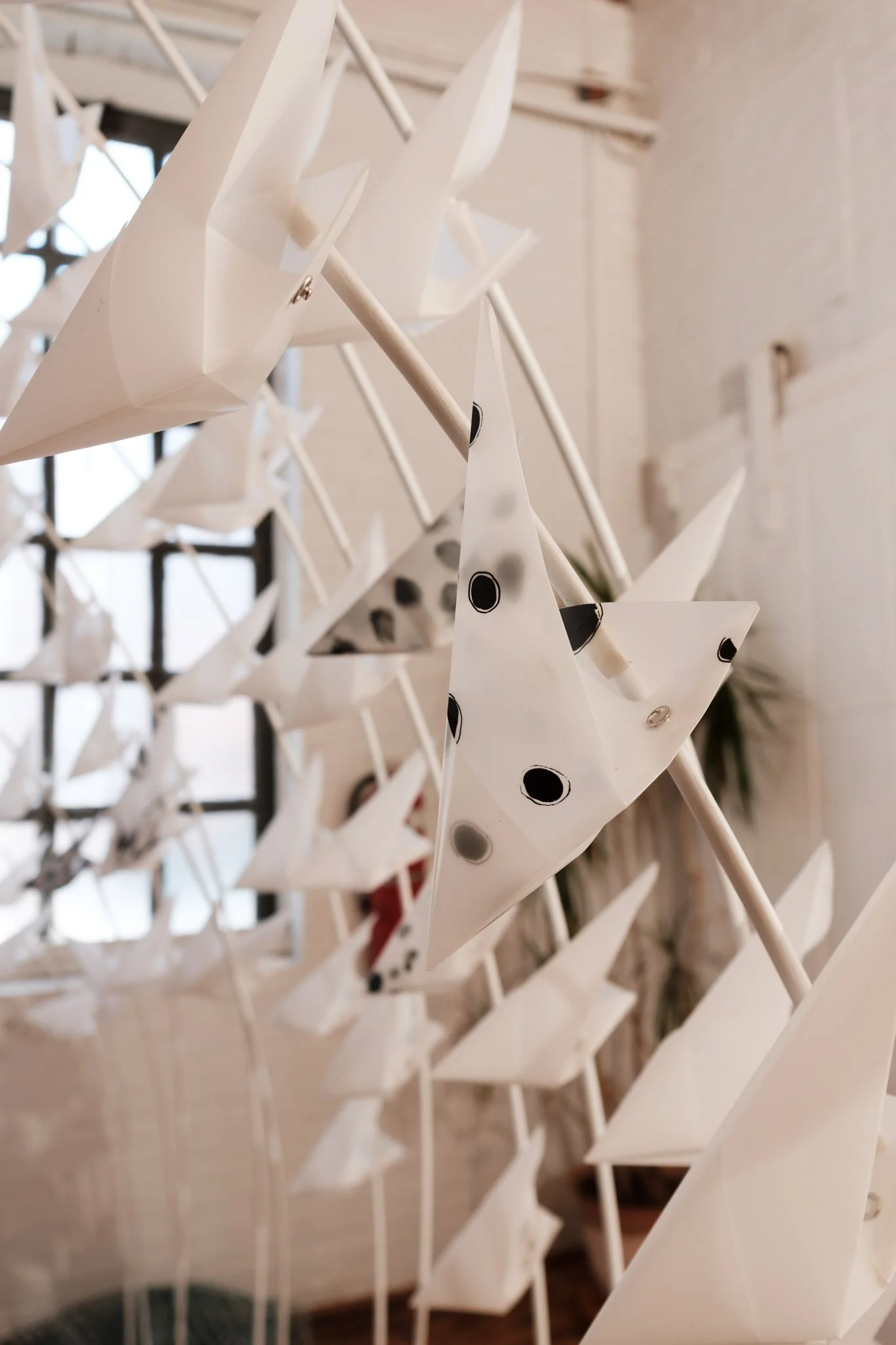 20221205-120757_ADP7632-WebRes copy.JPG