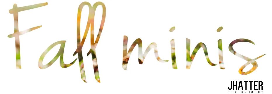 fall mini pixifi_.jpg