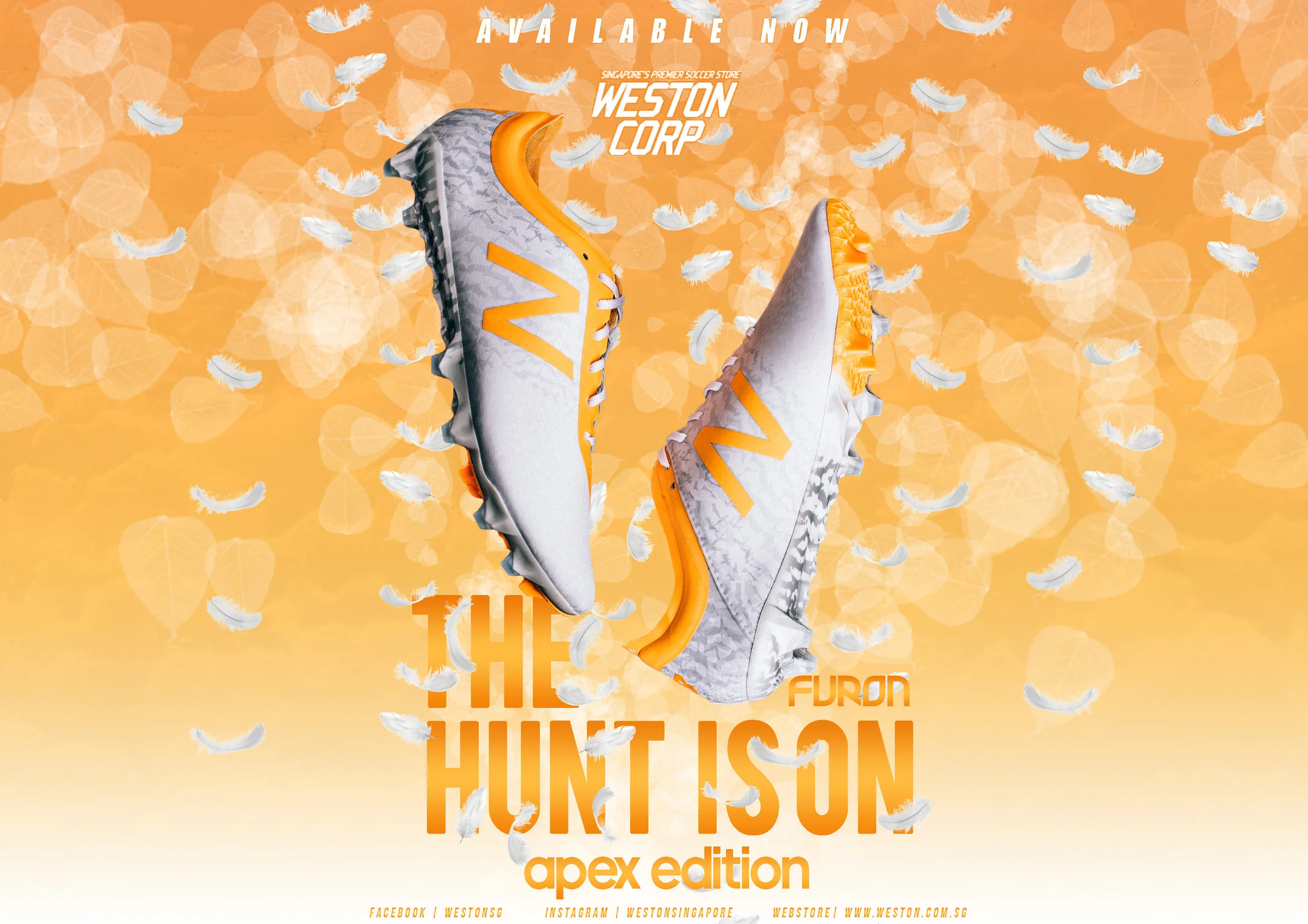 apex furon.jpg