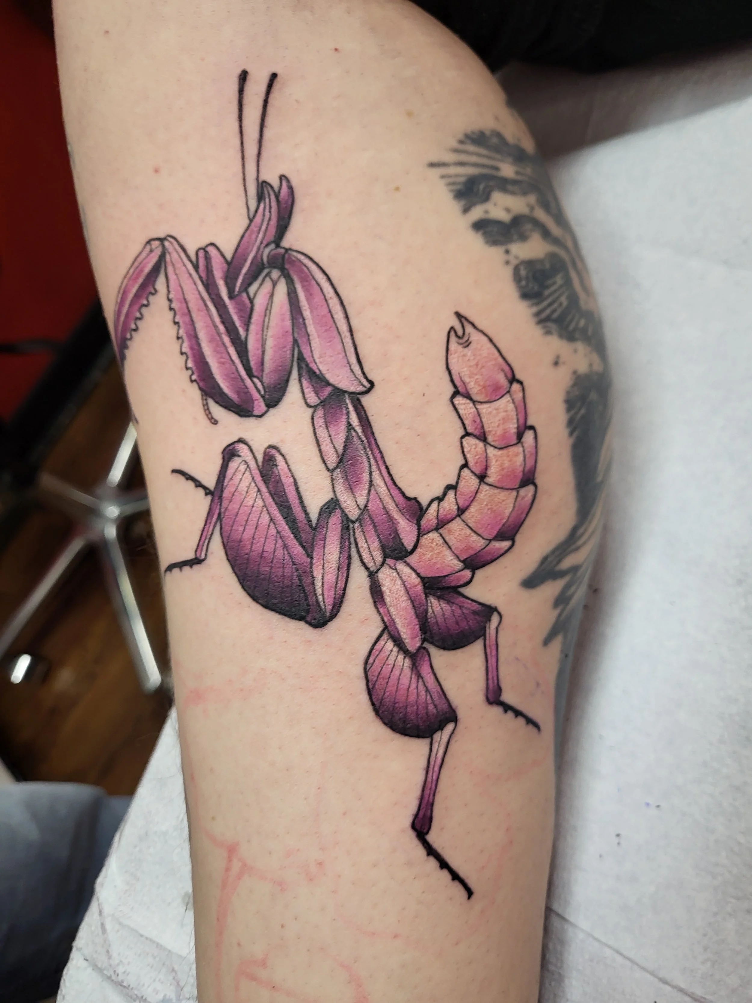  Mantis Tattoo by Ian Efrom 