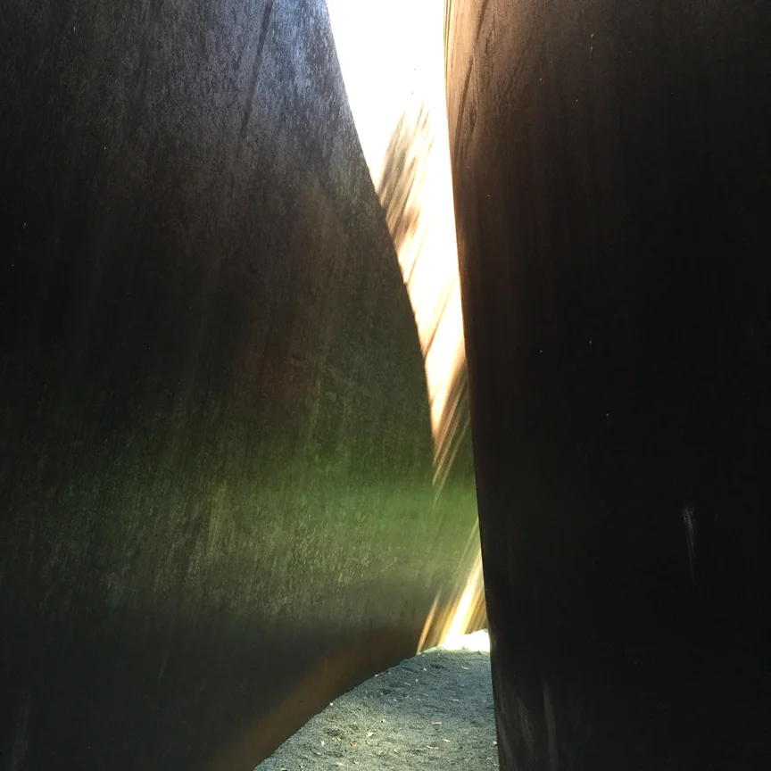Somehow, the brilliant green grass cast a reflection on the inside of the piece. It was a hovering cloud of bright green, impossibly beautiful. 