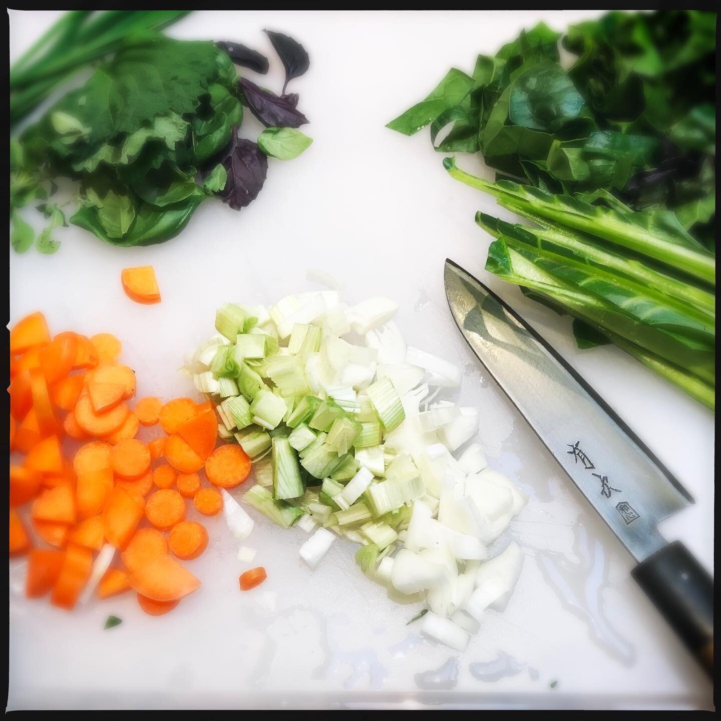 #beforeandafter #gardengoodies #carrots #chard #herbs #shallots #risotto #primavera ...................... And thou ❤️ Thanks to @adteckelhaus for being the best studio assistant today!