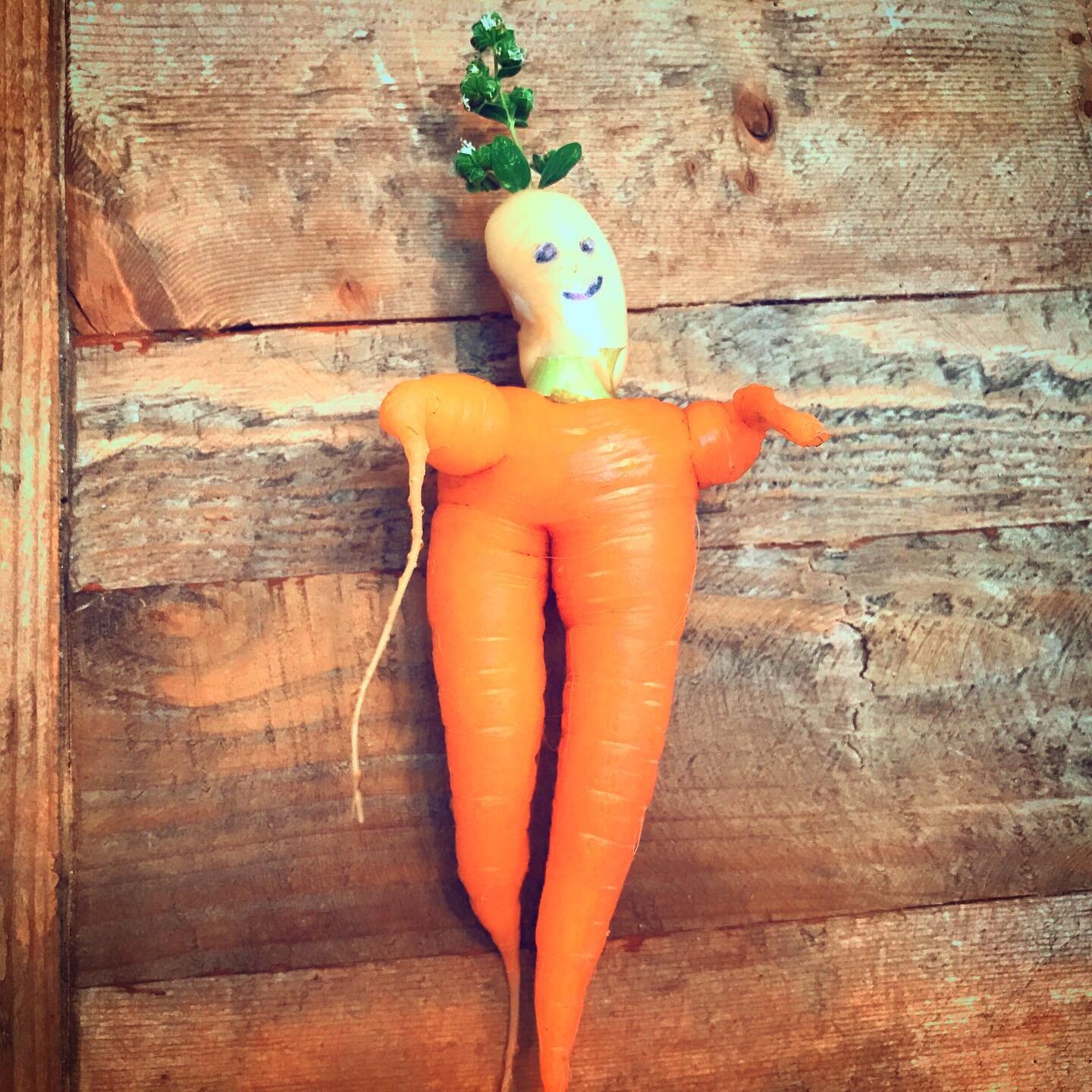 So, in addition to the obvious joys of gardening, there&rsquo;s this: #carrotdolls #quitefetching #right #? #godwhatswrongwithme #okayillstopnow