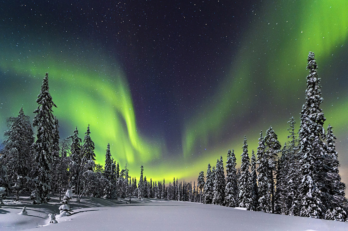 Nicholas Roemmelt via National Geographic