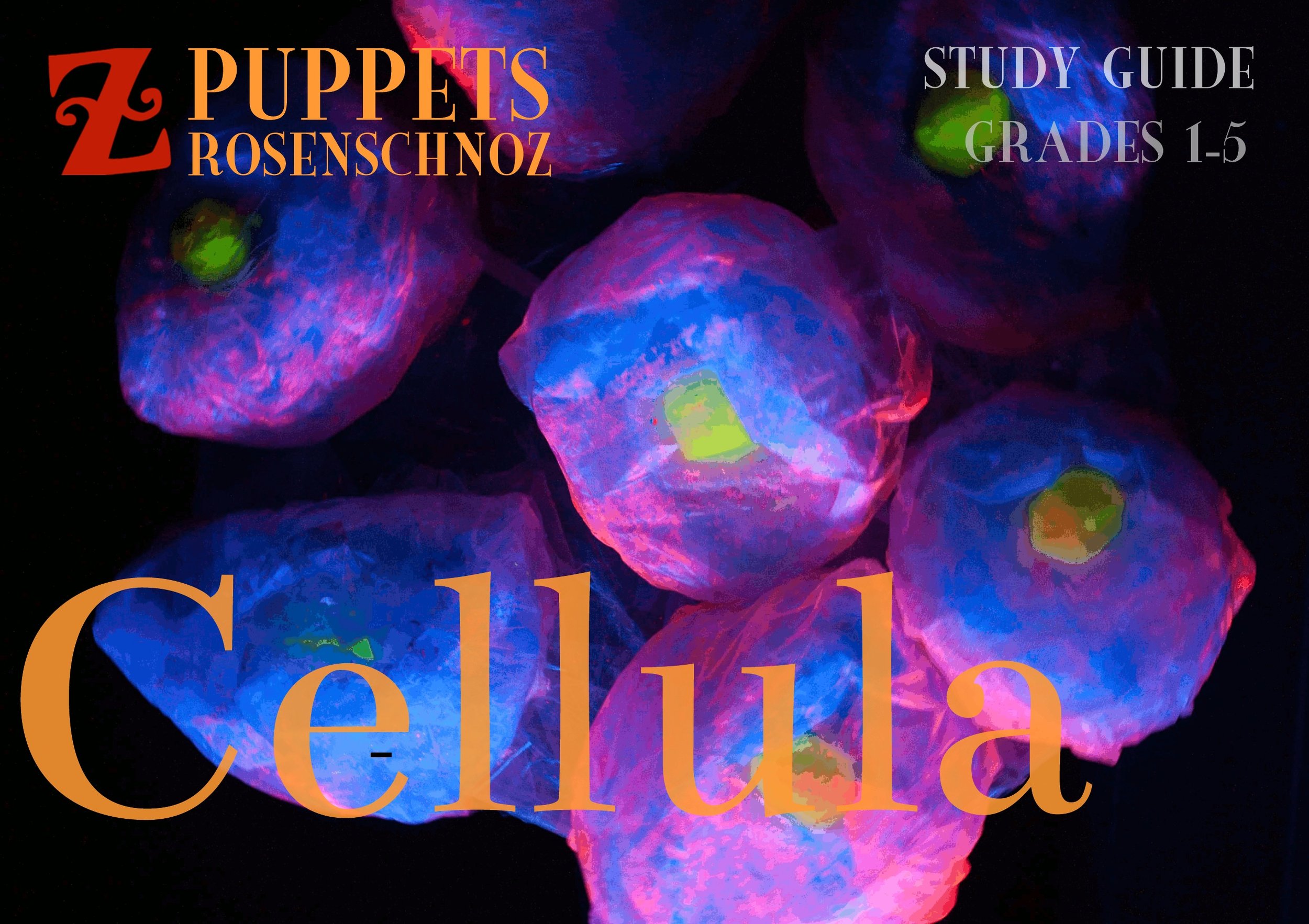 Cellula Study Guide - cover