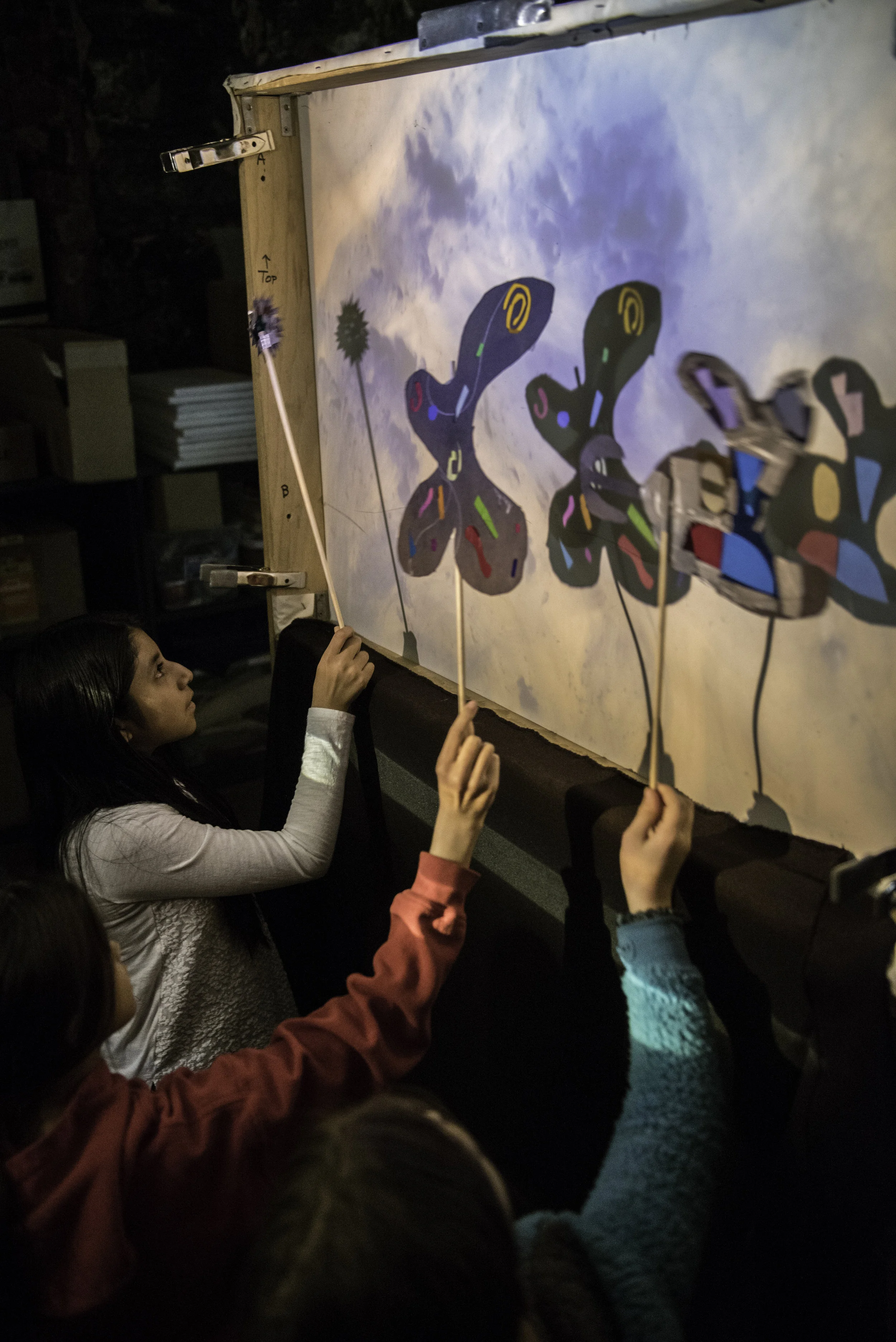 Shadow Puppet Stem STEM of Puppetry — Z Puppets Rosenschnoz