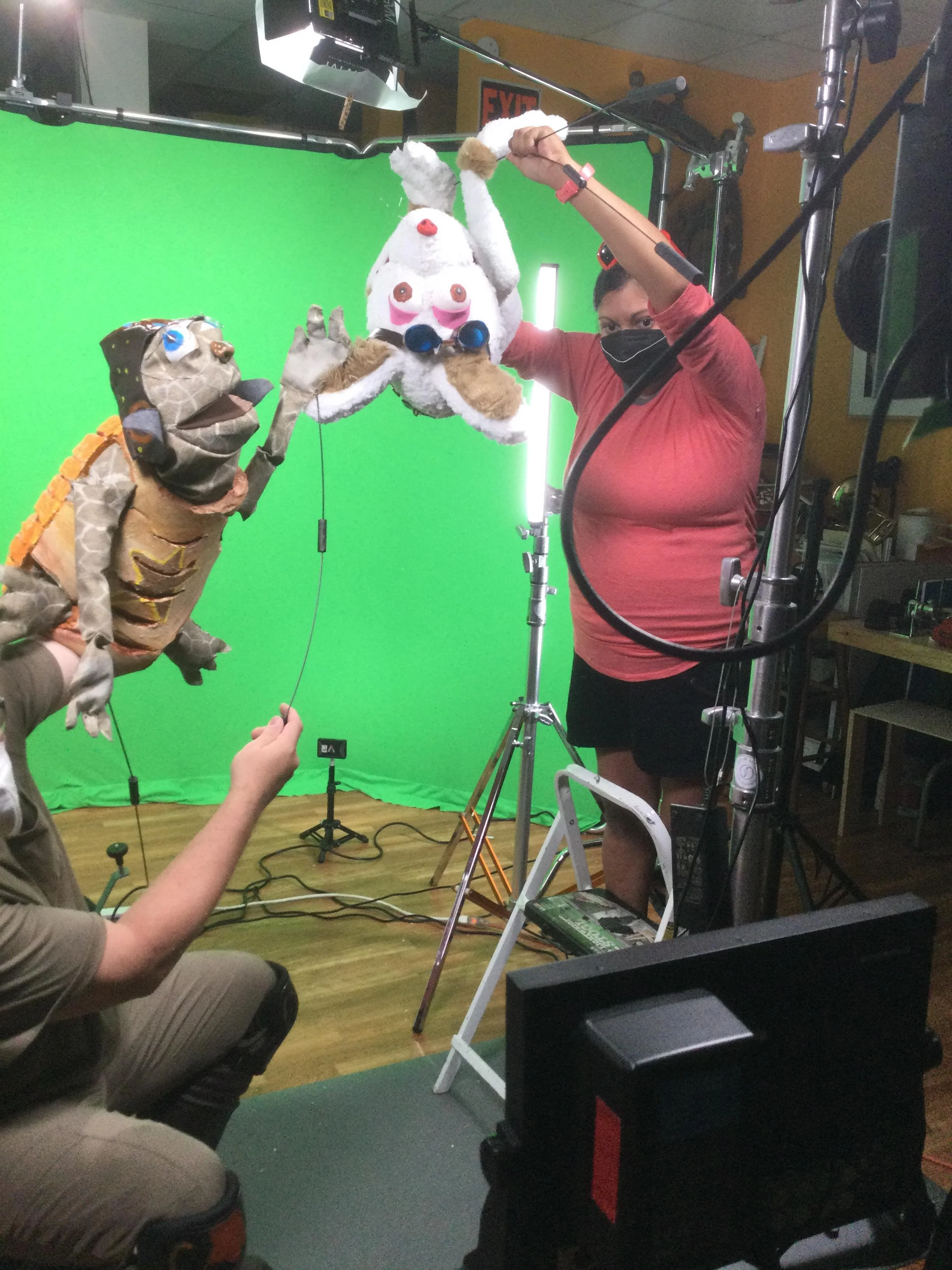 Video Apprentice Job Description — Z Puppets Rosenschnoz