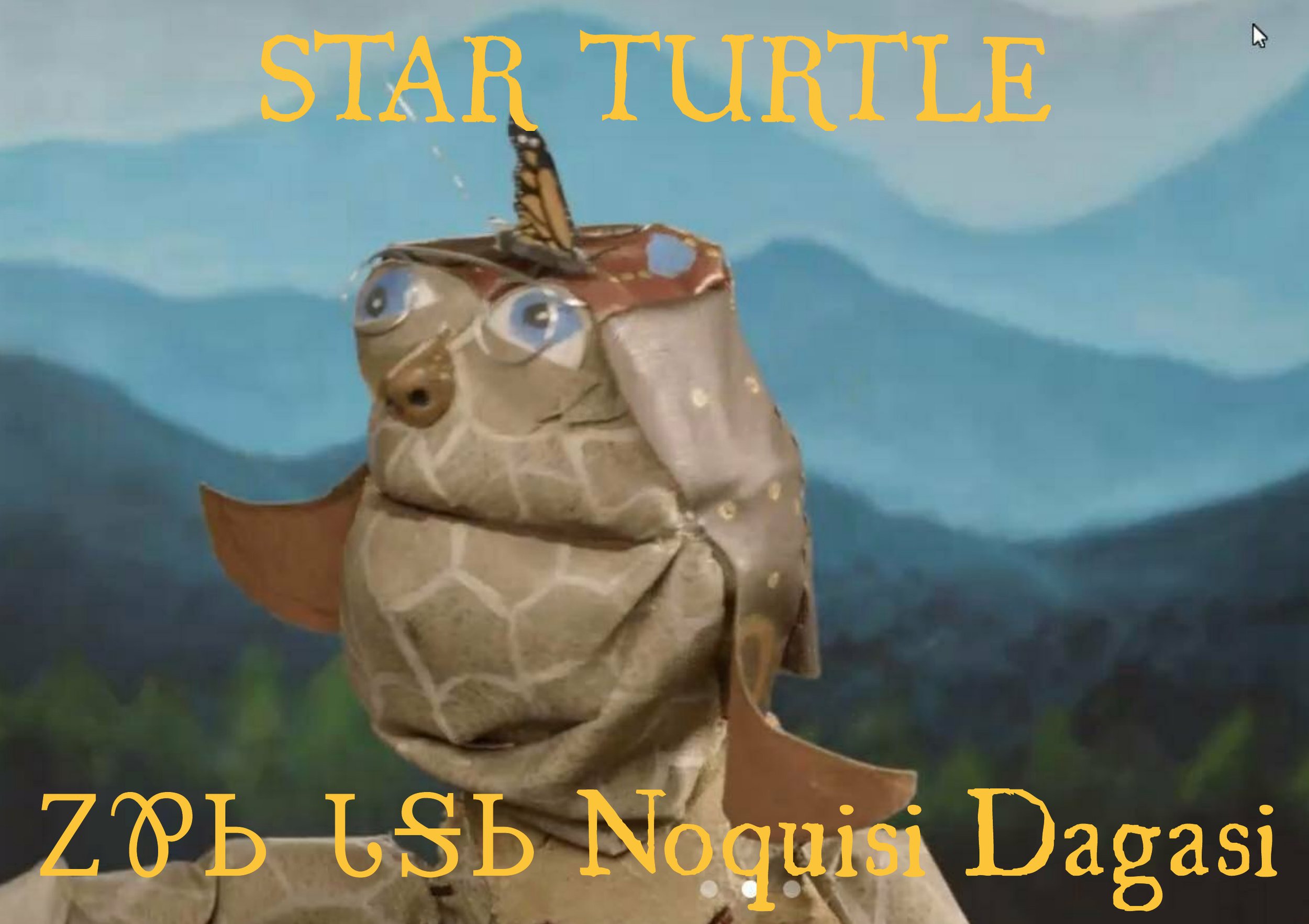 STAR TURTLE beginning screen.jpeg