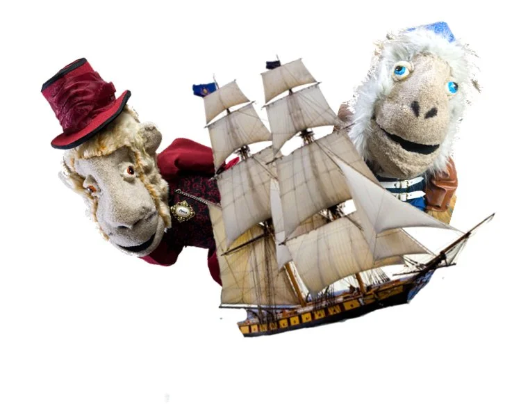 Find Your Island of Calm with the Monkey Mind Pirates