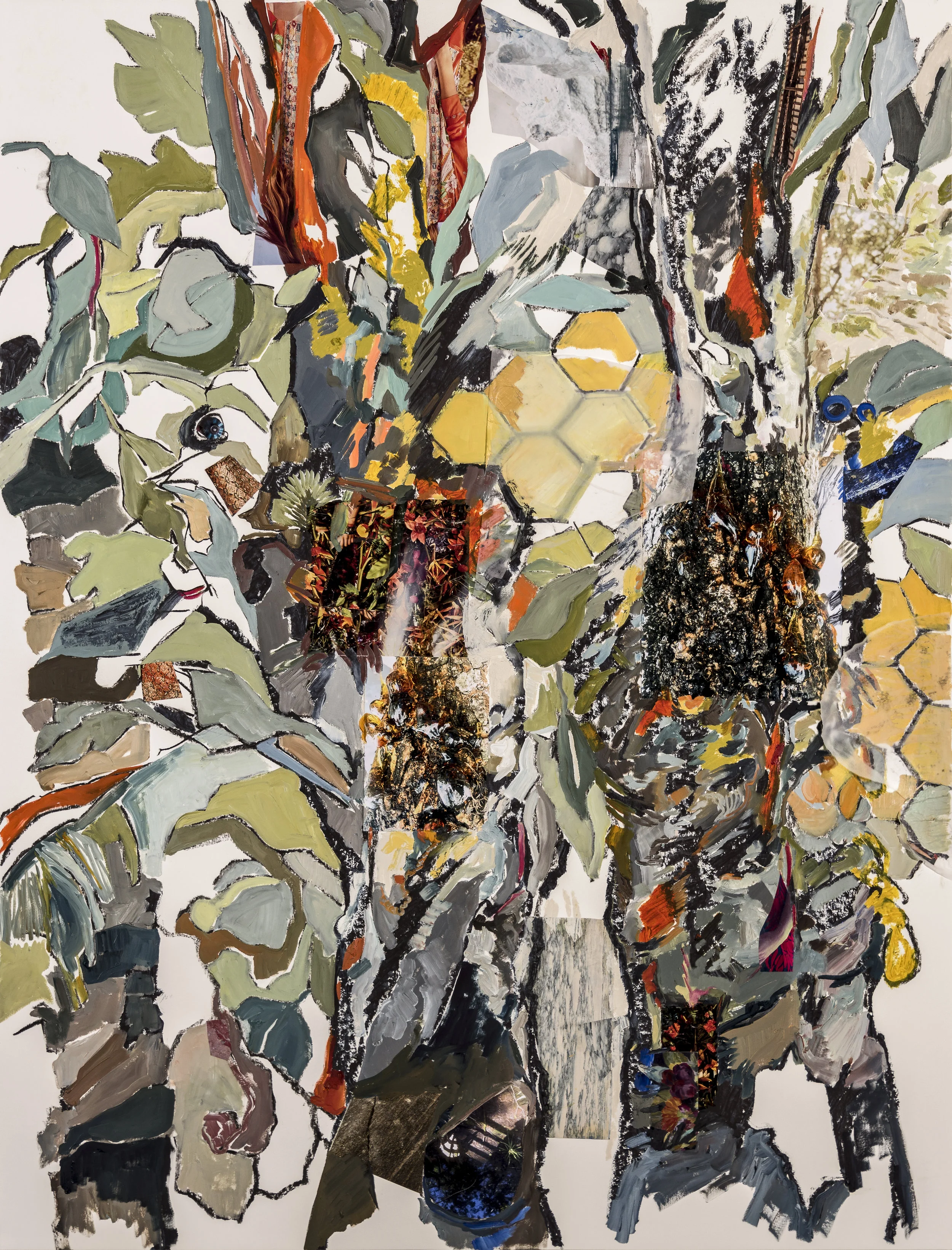 The hidden secret of trees #VII