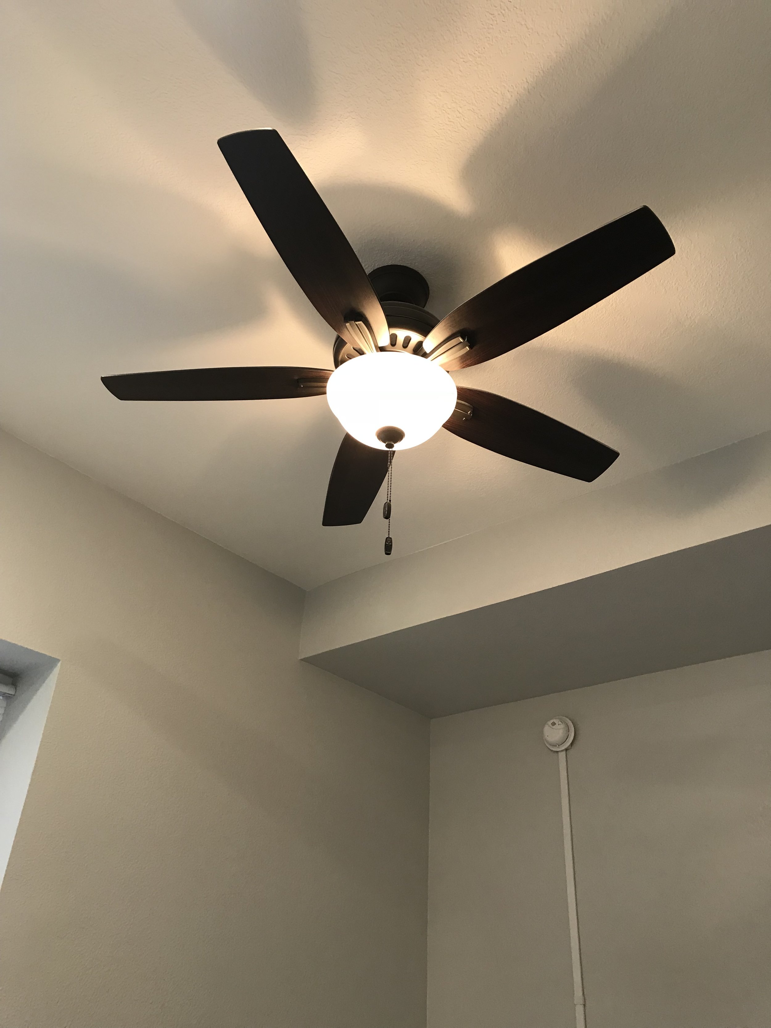 Ceiling Fans in LR and Bedroom