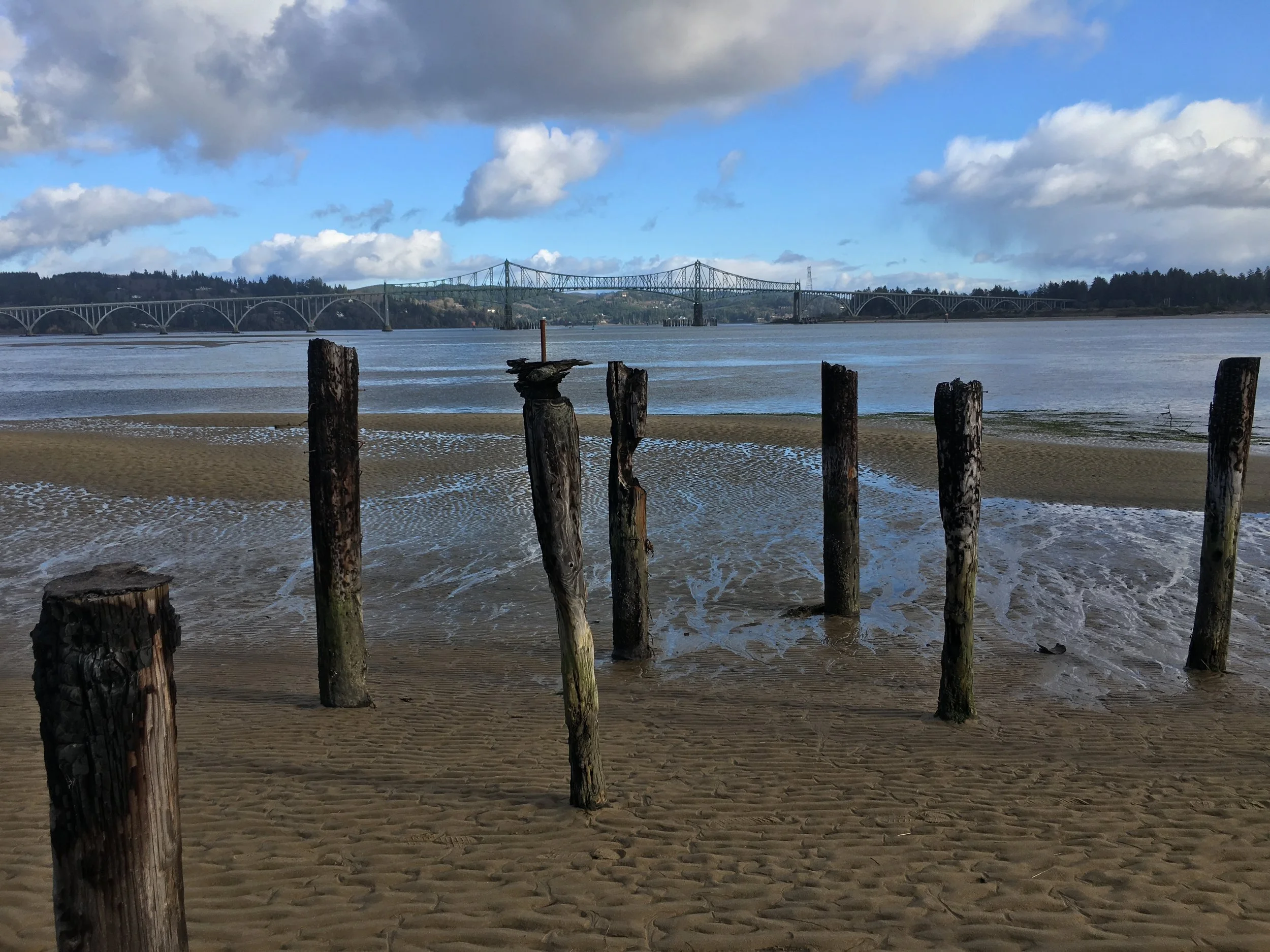 Coos Bay Low Tide
