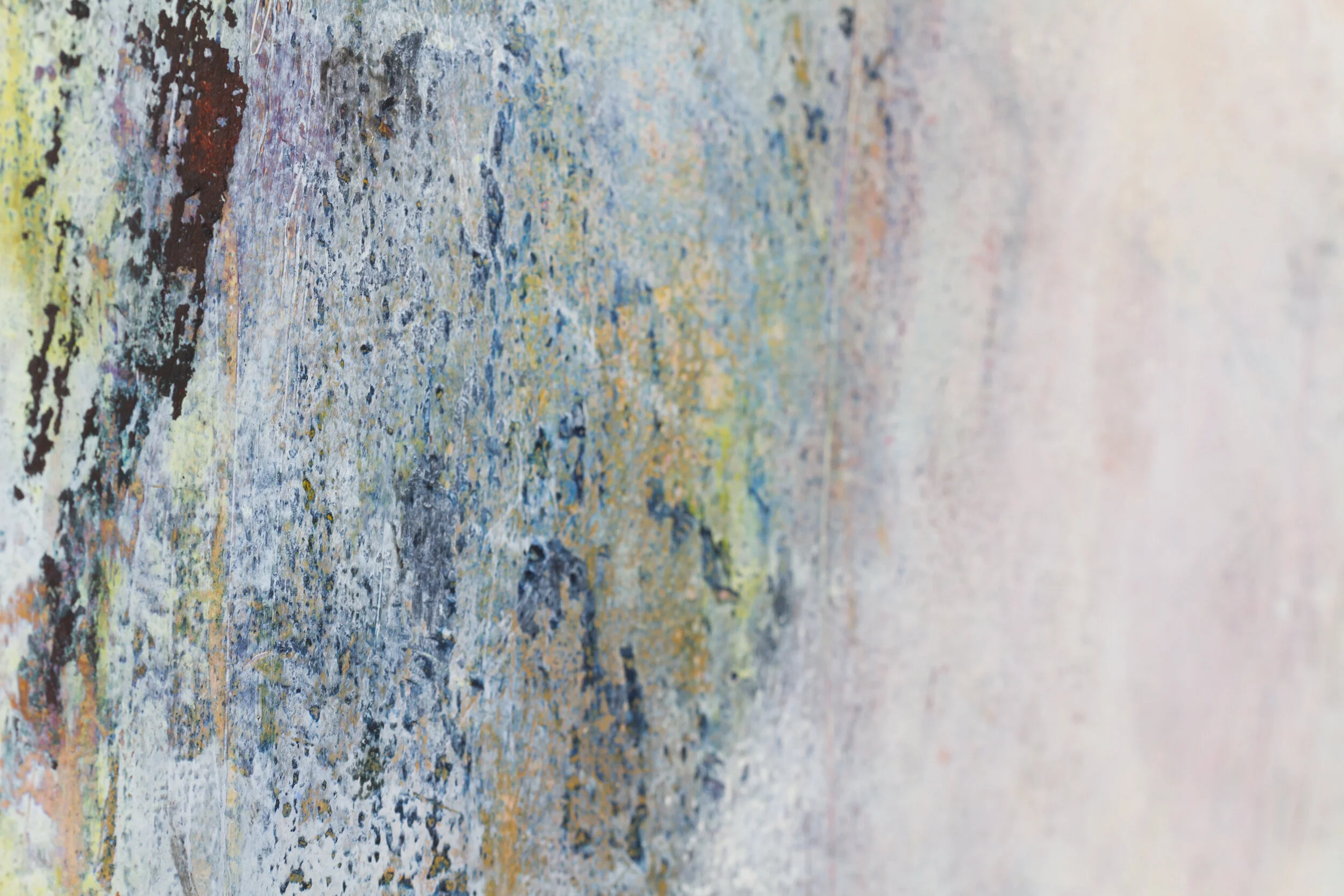 One Sentiment - Close Up-5397.jpg