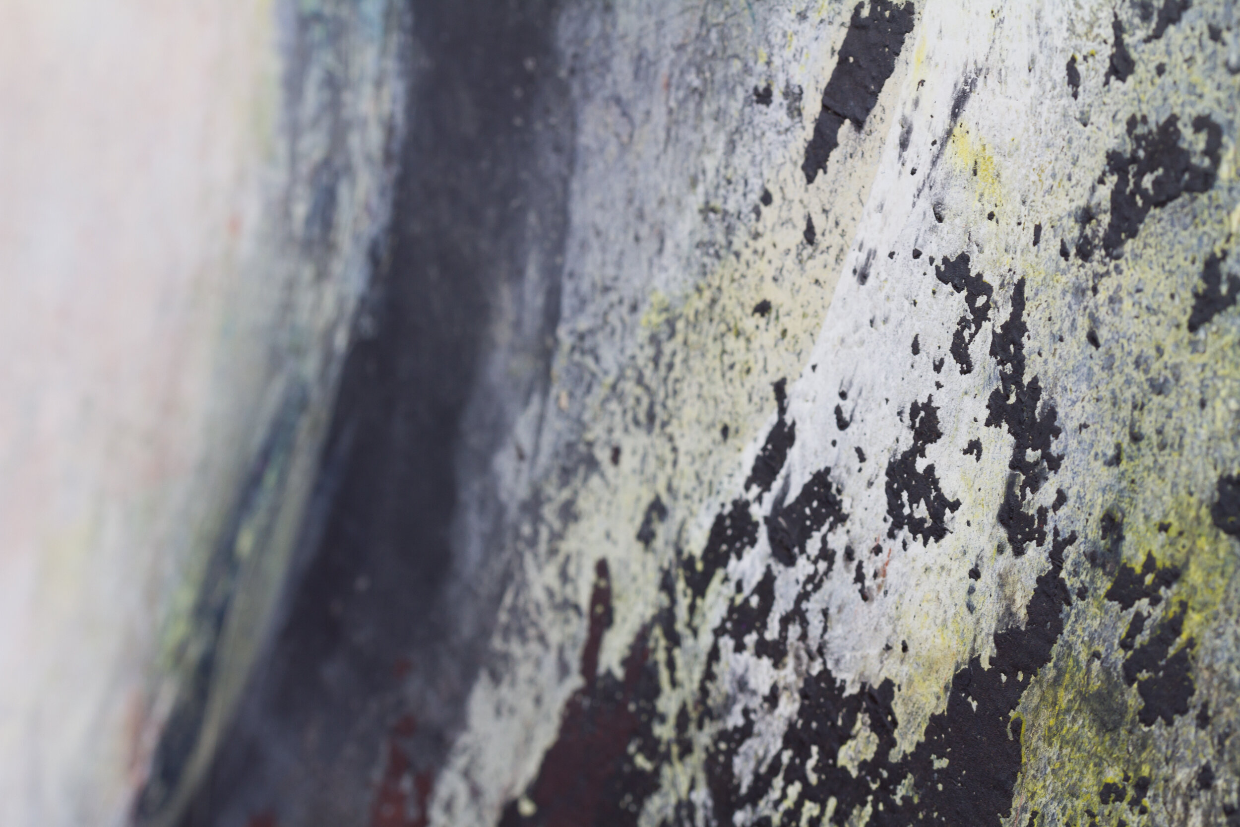 One Sentiment - Close Up-5400.jpg