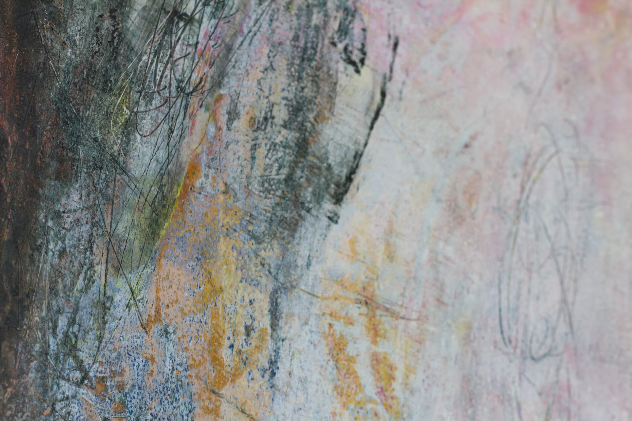 One Sentiment - Close Up-5407.jpg