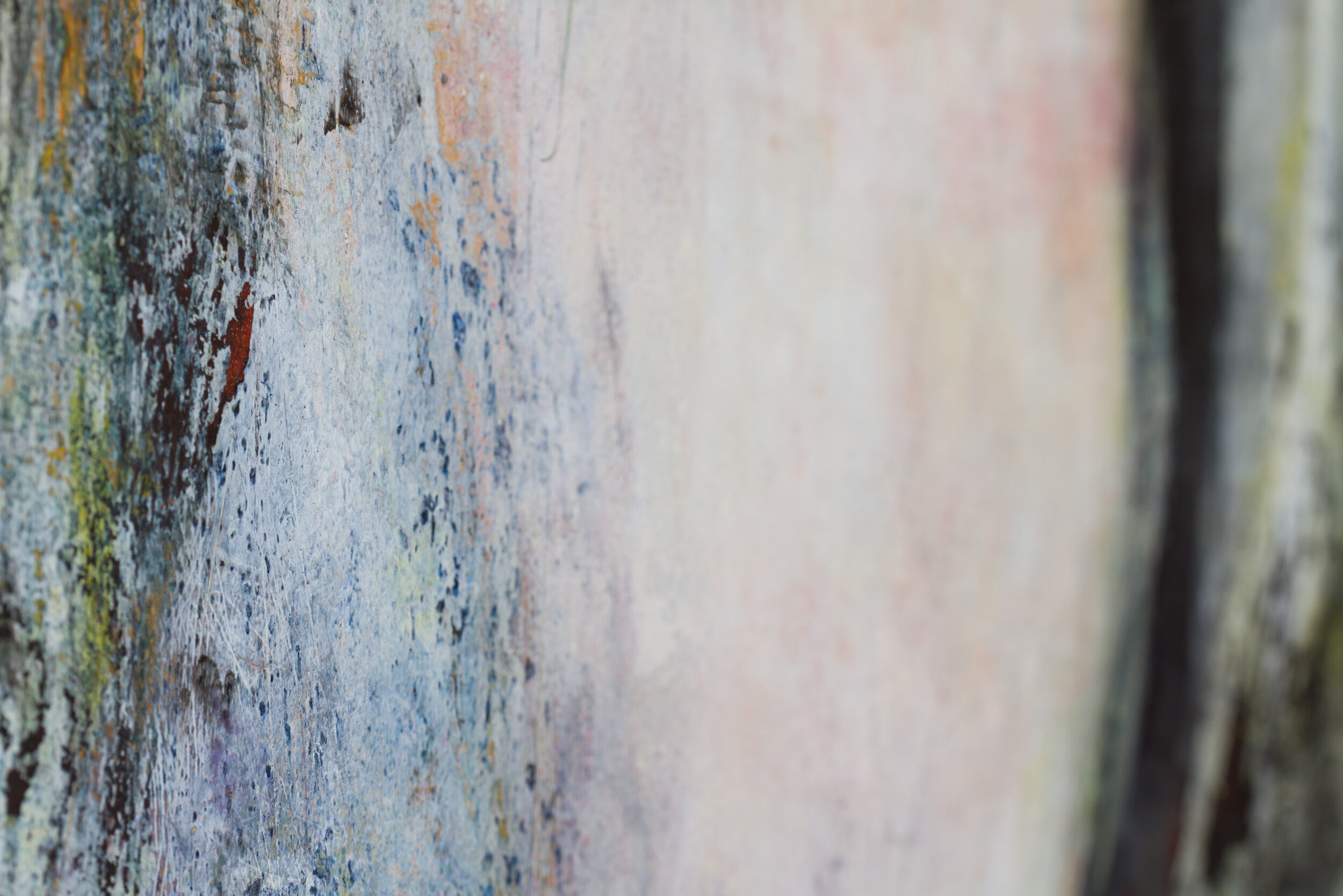 One Sentiment - Close Up-5408.jpg