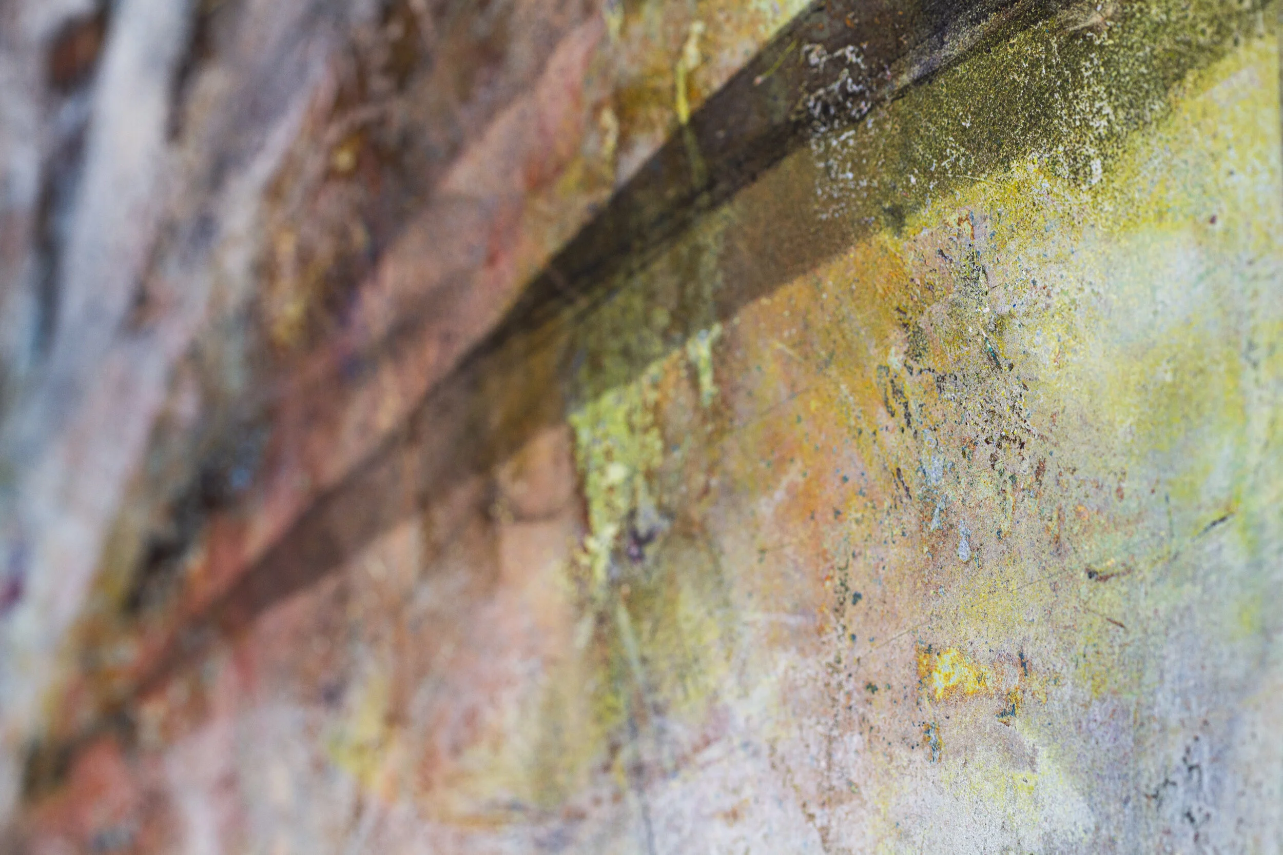 Unleashed Detail-0149.jpg