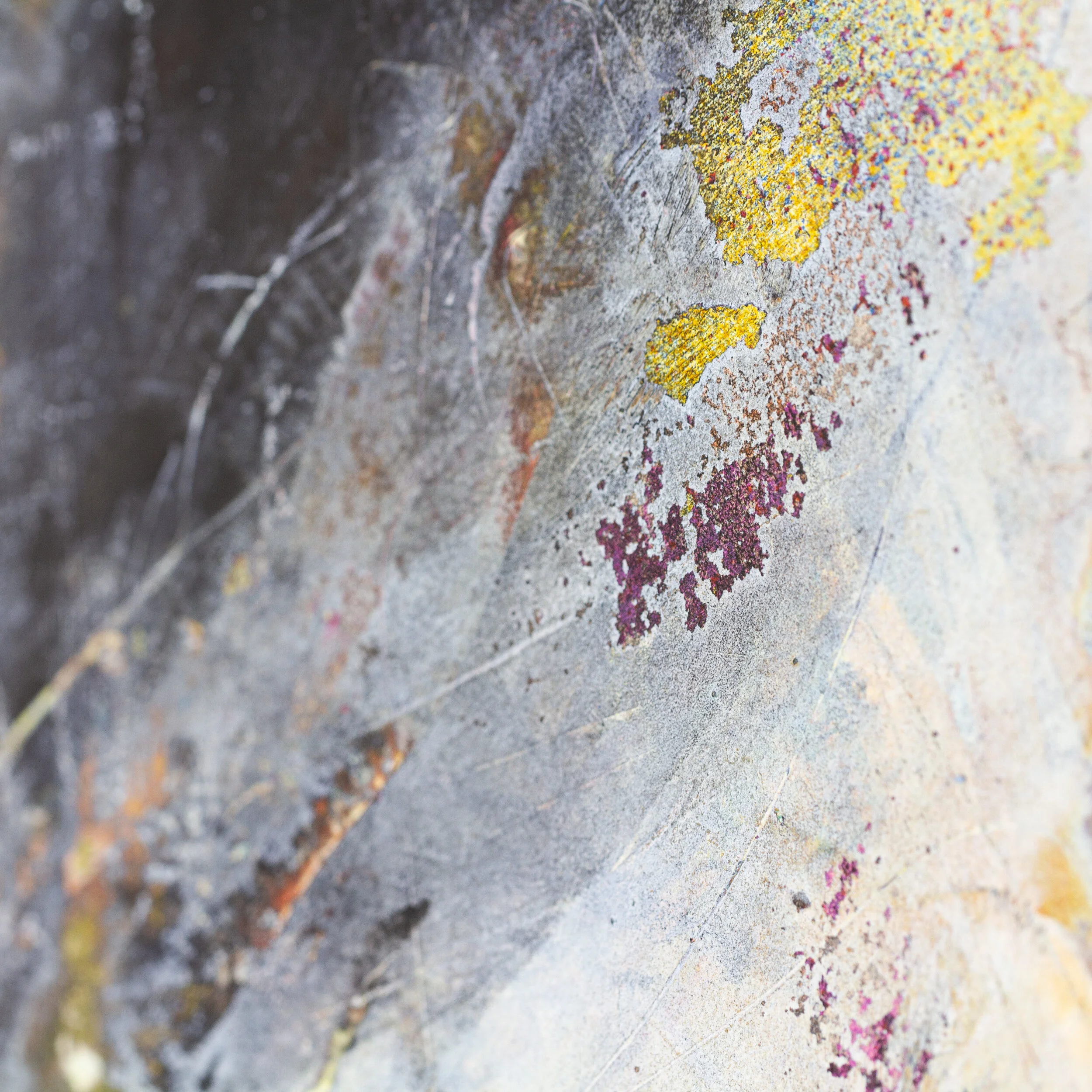 Unleashed Detail-0153.jpg