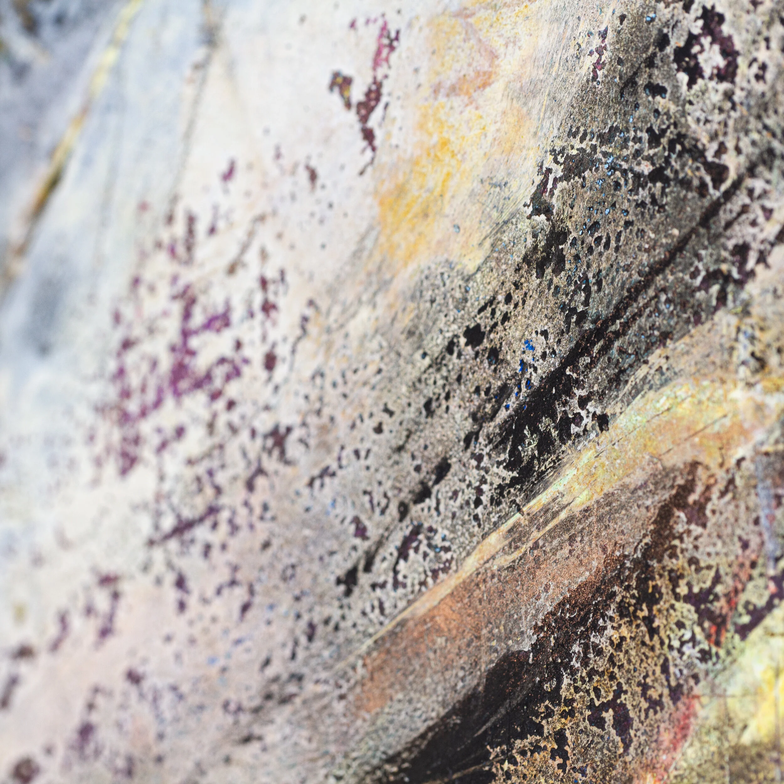 Unleashed Detail-0152.jpg