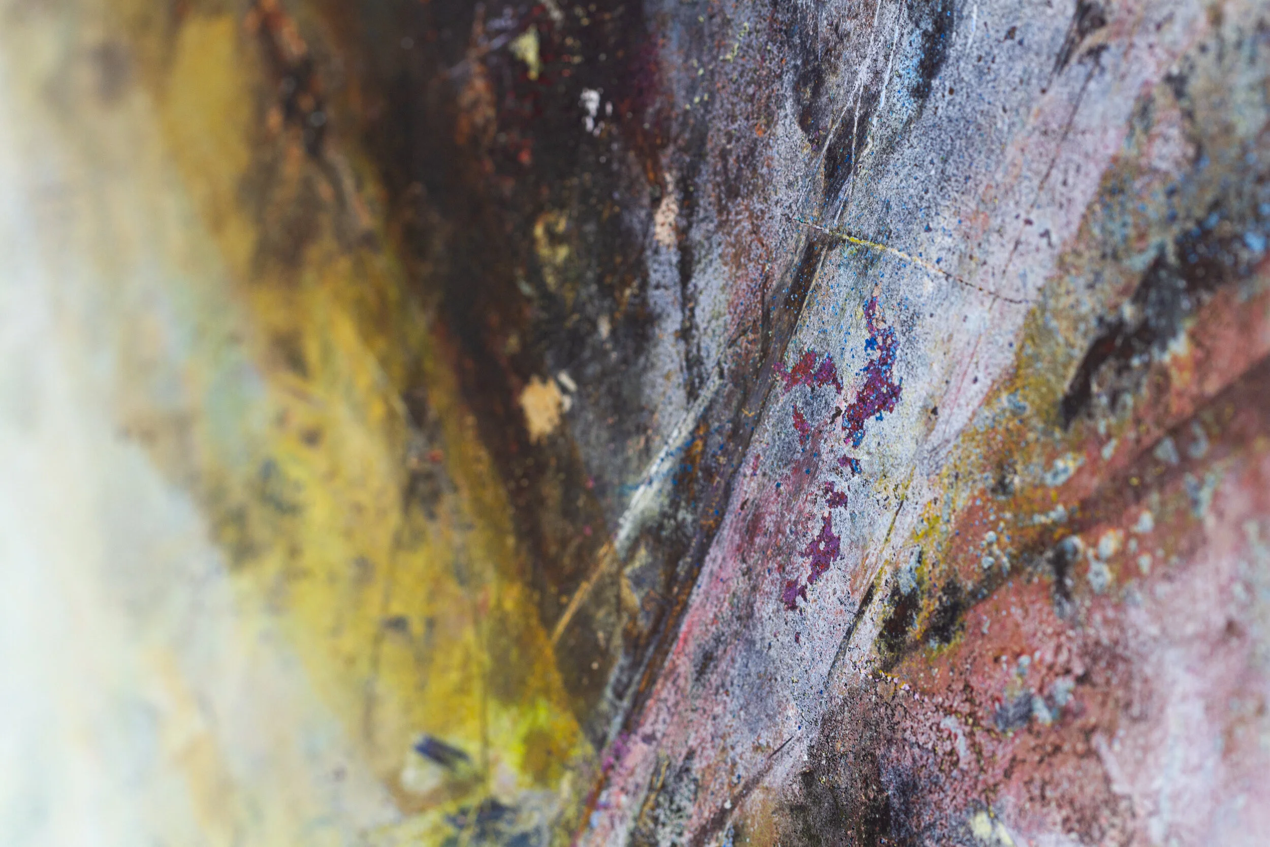 Unleashed Detail-0154.jpg