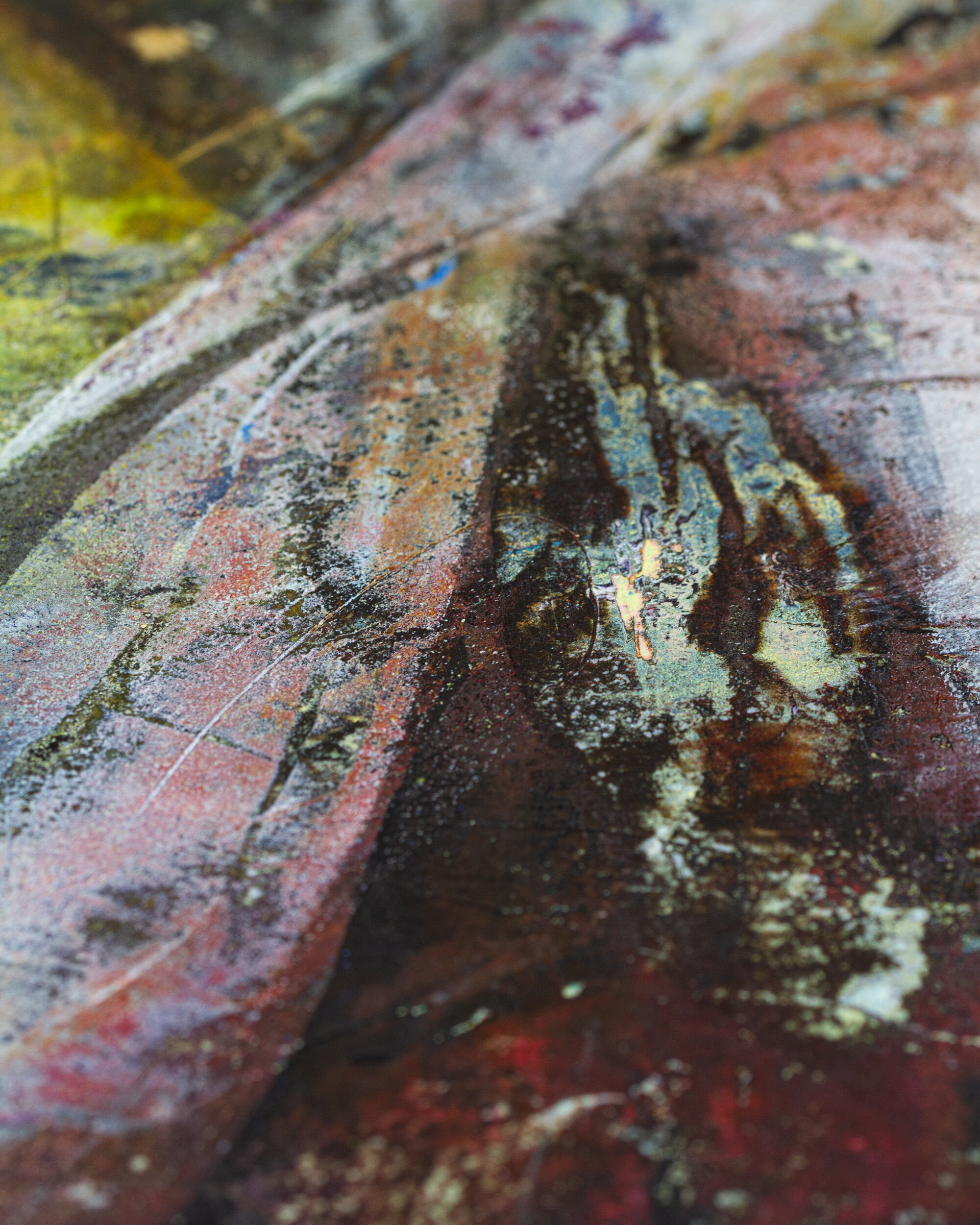 Unleashed Detail-0162.jpg