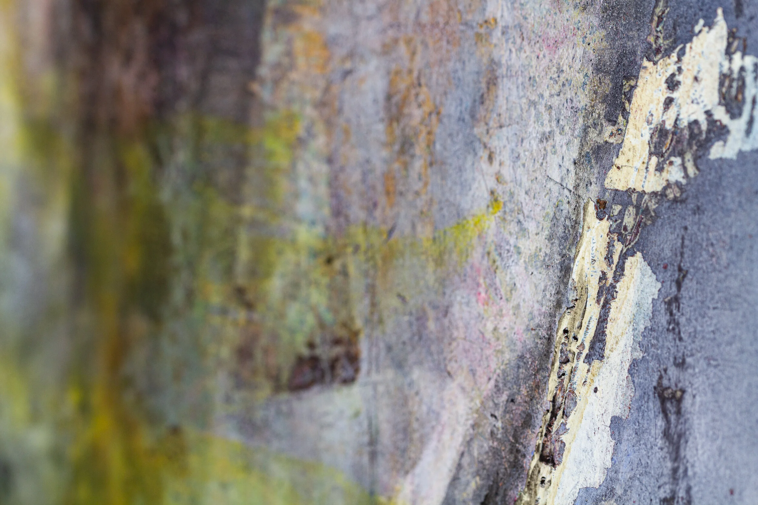 Fitting In Detail-0136.jpg