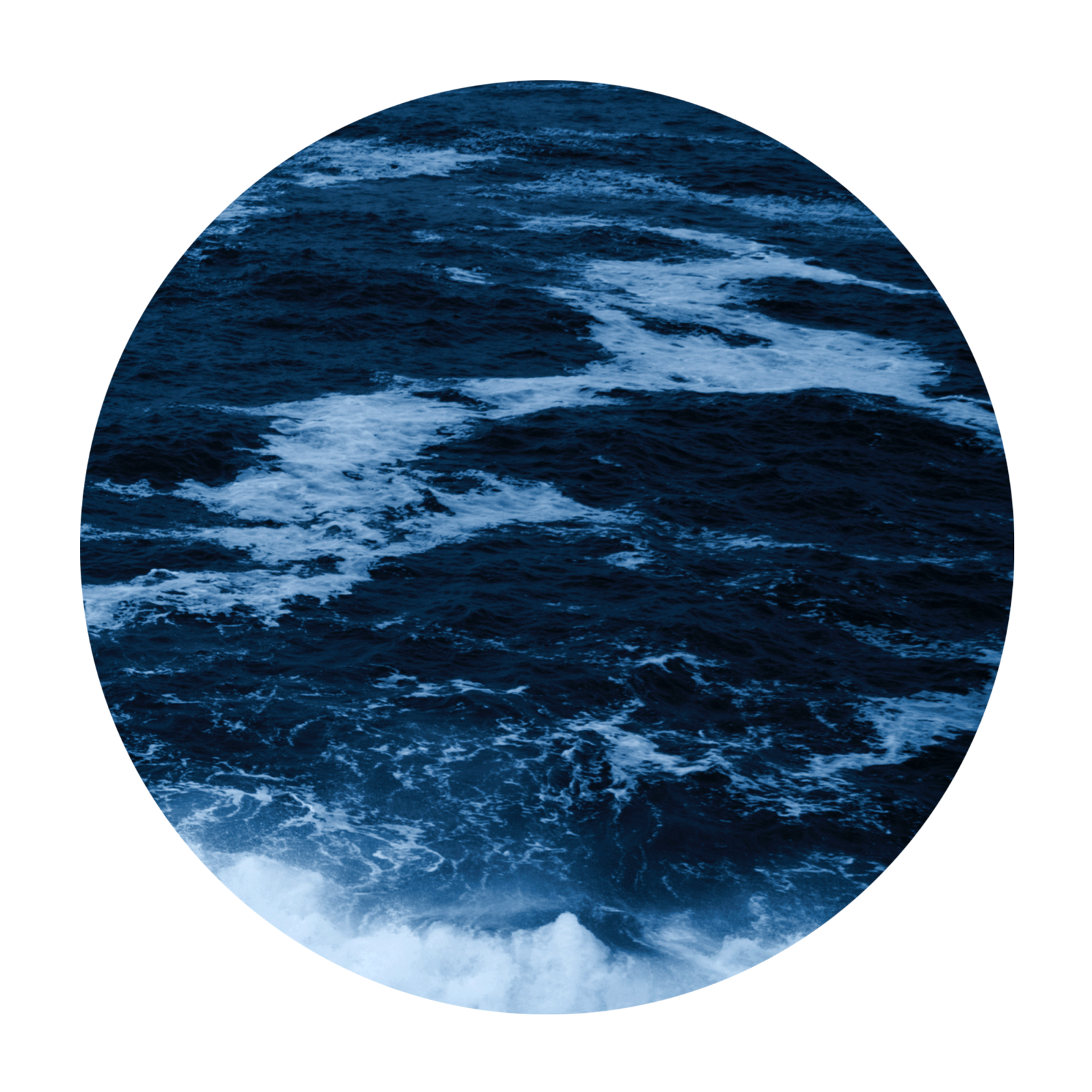 Screen Shot 2020-02-12 at 11.16.45 AM.png