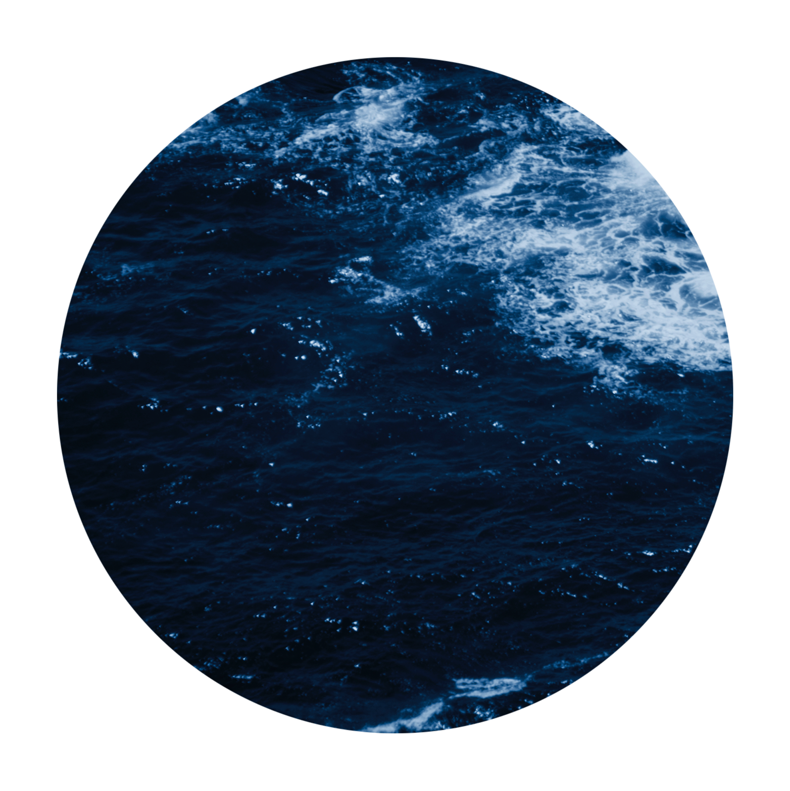 Screen Shot 2020-02-12 at 11.16.52 AM.png