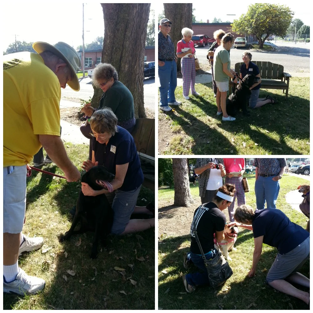 Blessing our pets.
