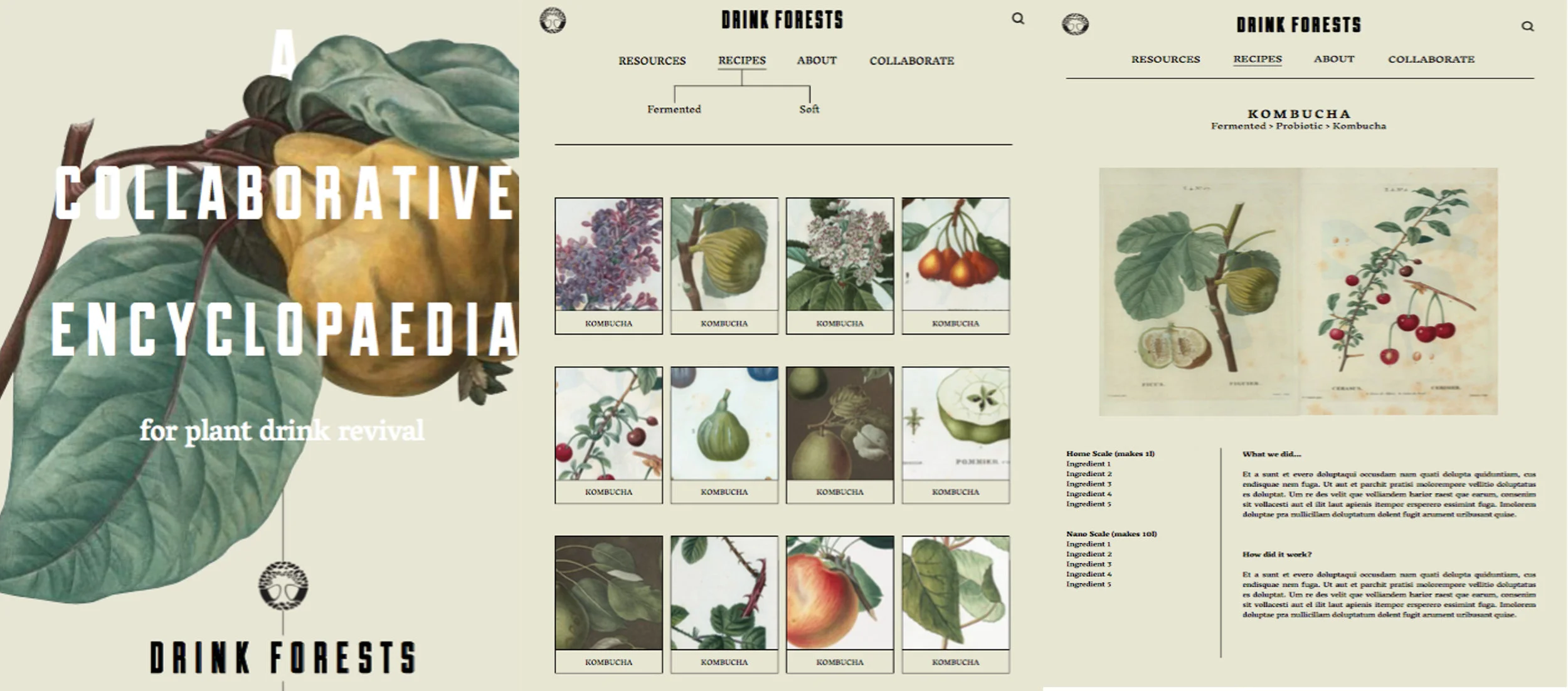 Drink forests for website.jpg