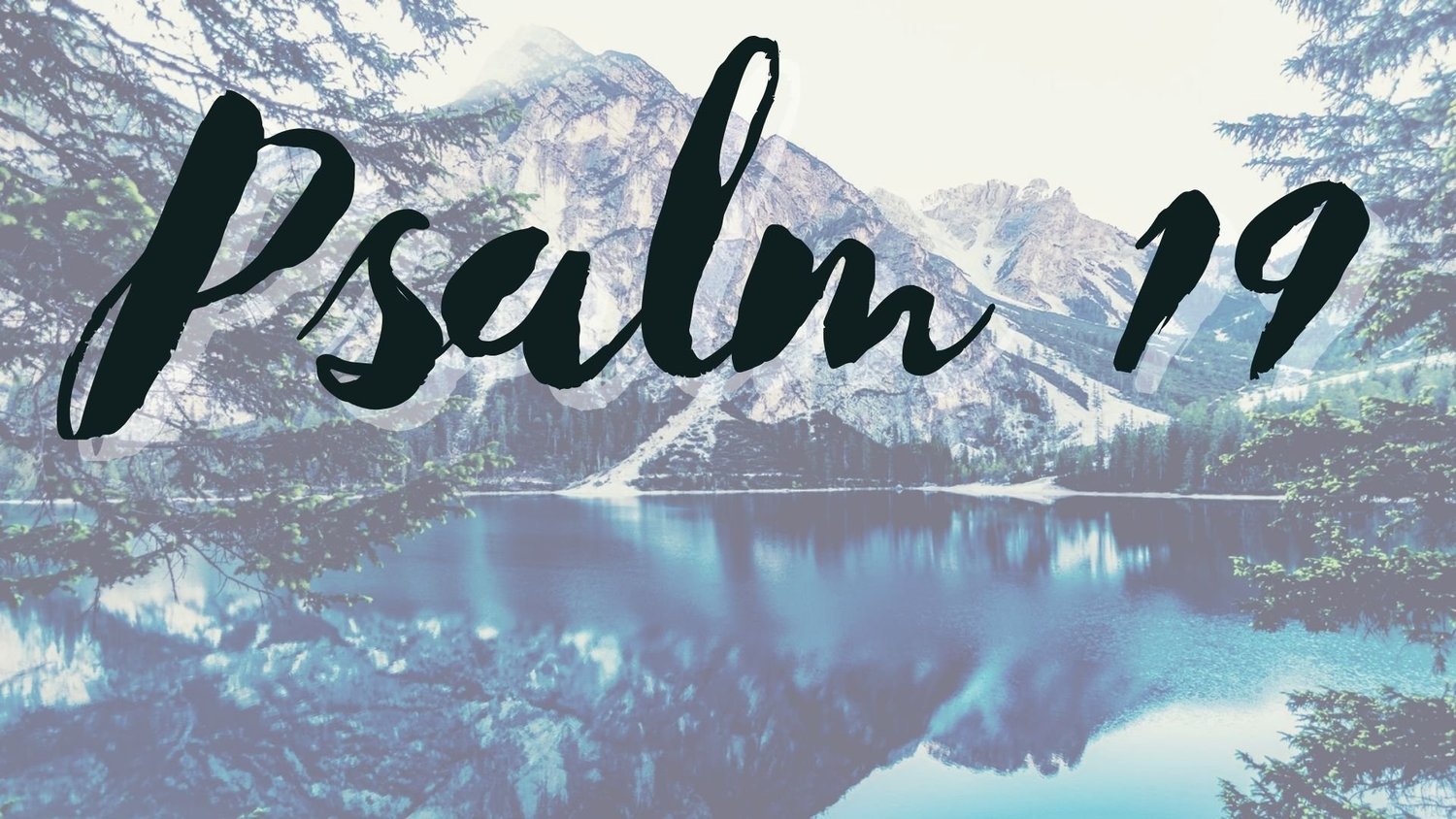 Psalm 19 | David Martin episode artwork