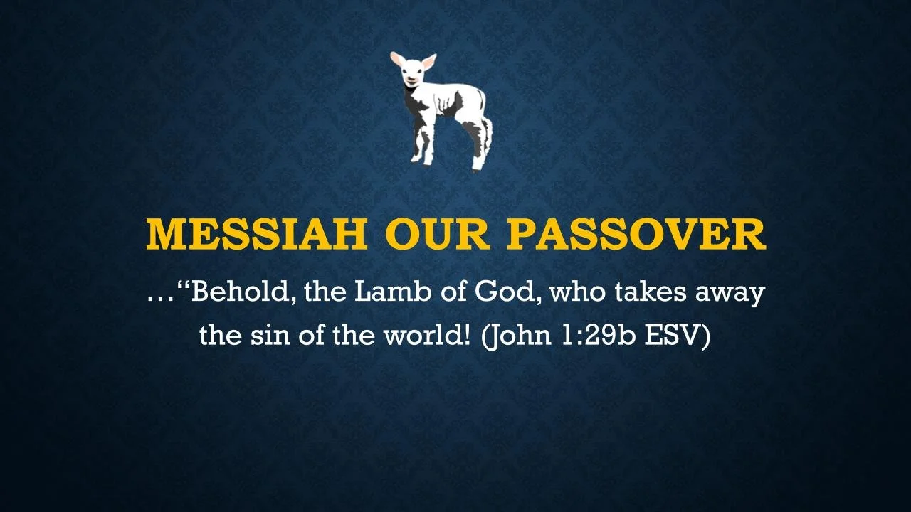 Messiah in the Passover episode artwork