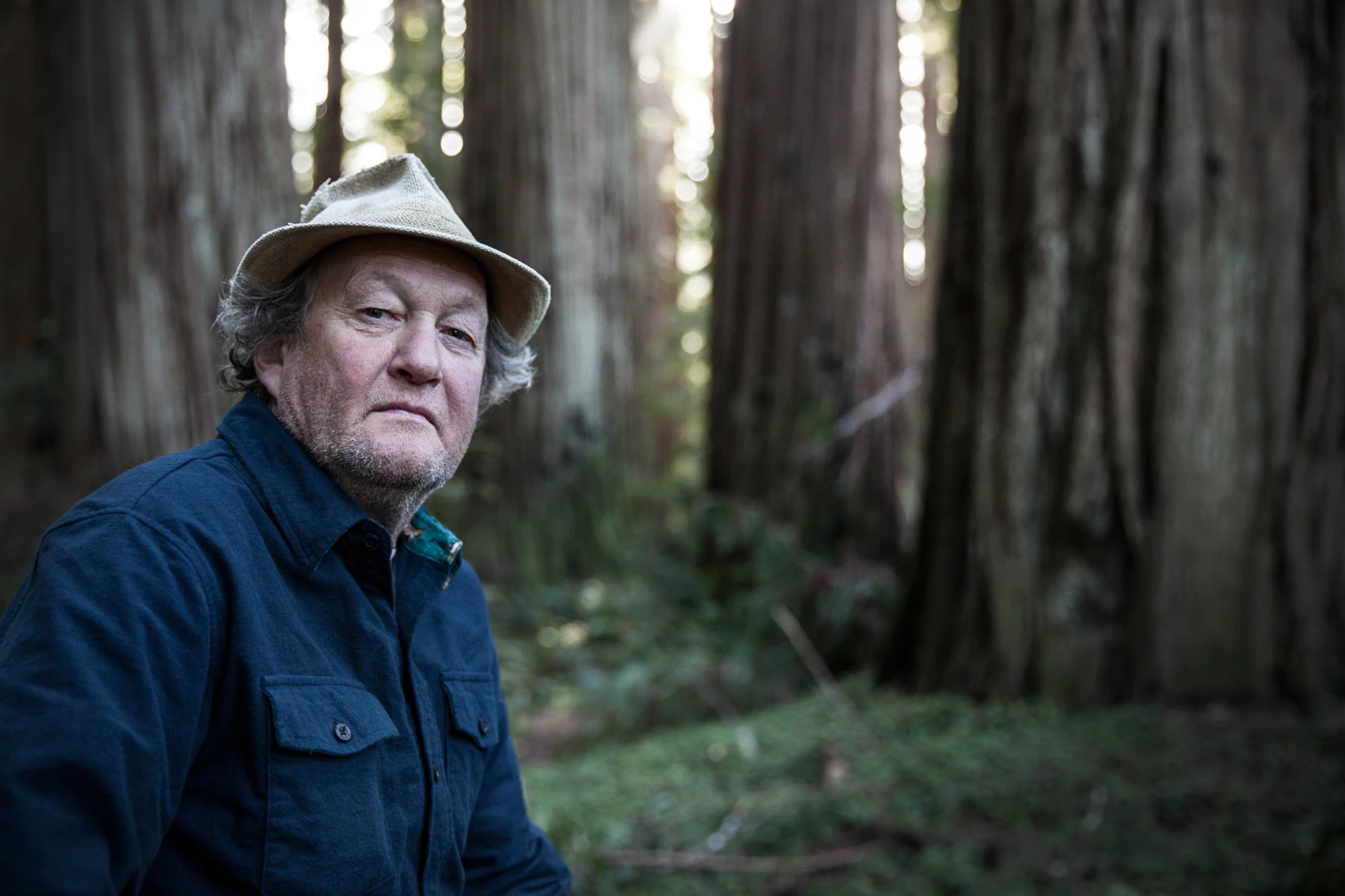 craig_redwoods_web.jpg