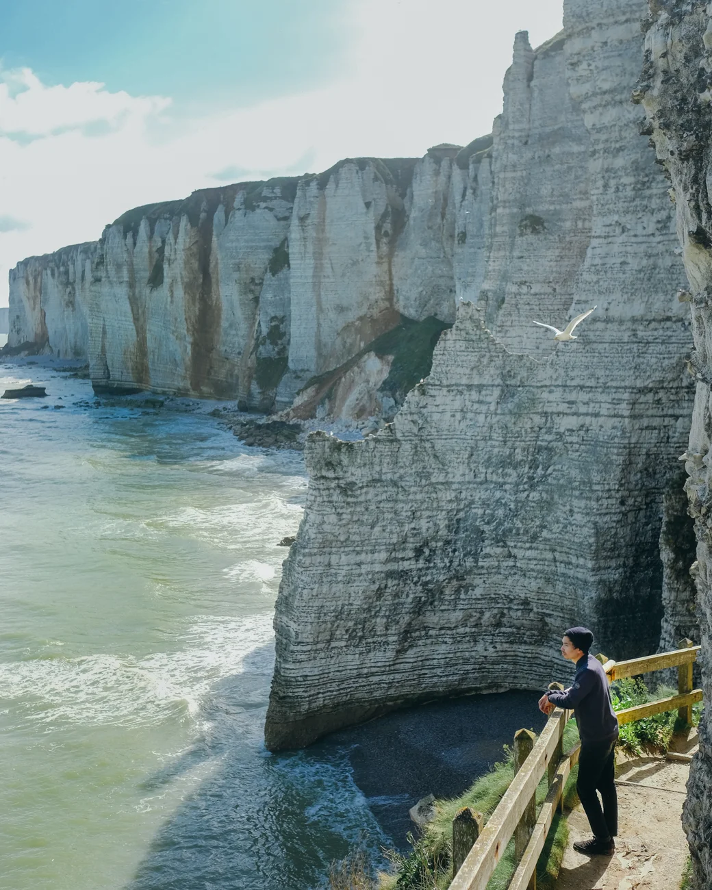 DSCF6473.jpg