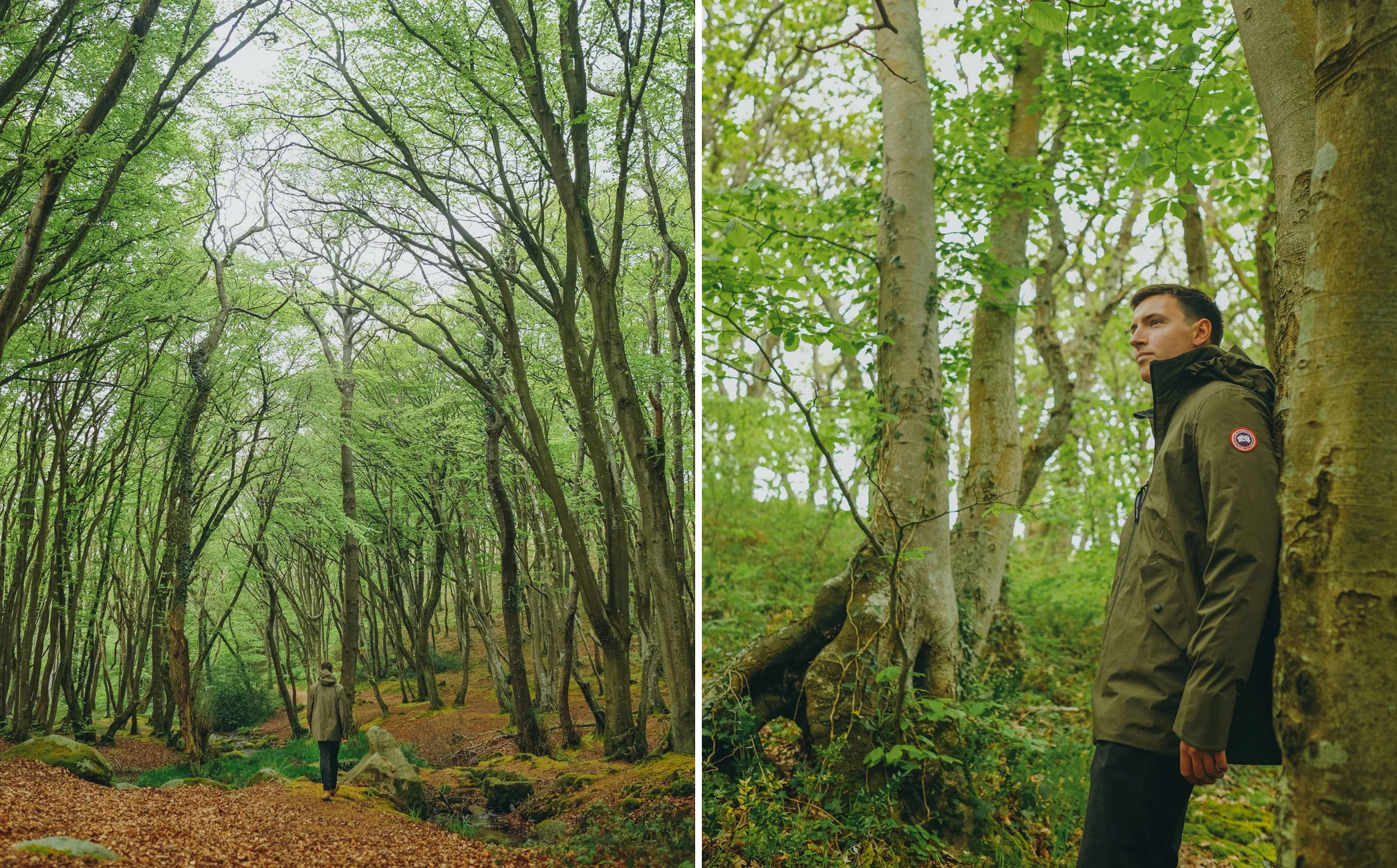 DSCF59770.jpg