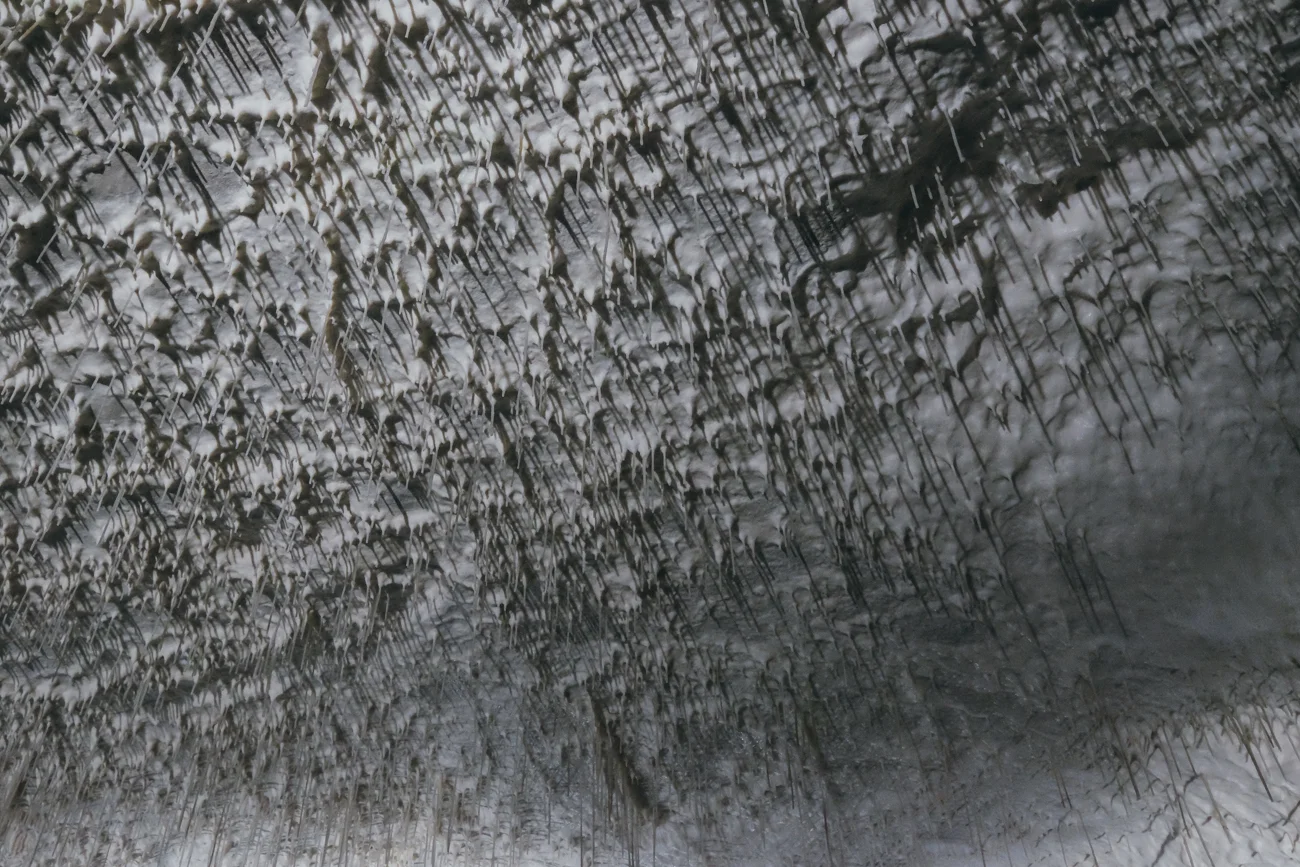 DSCF9678.jpg