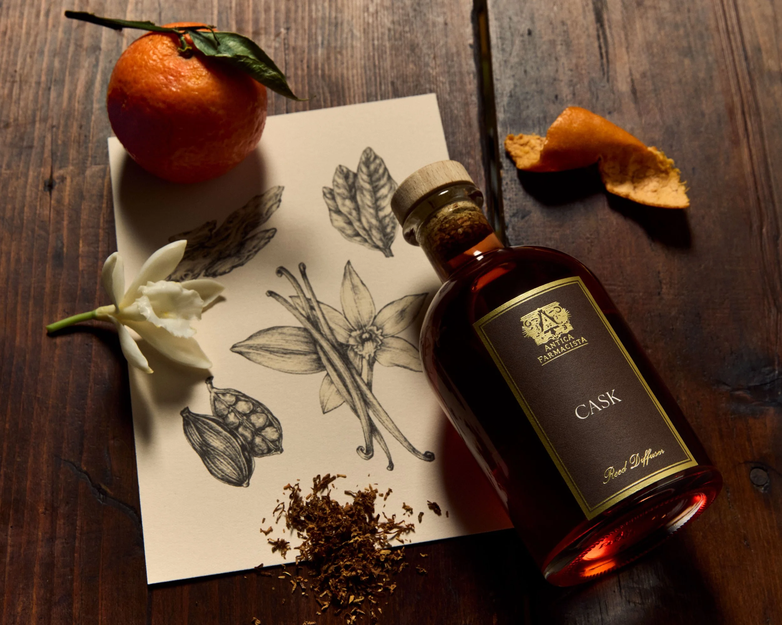 AF_Apothecary_Illustrations_069_b.jpg