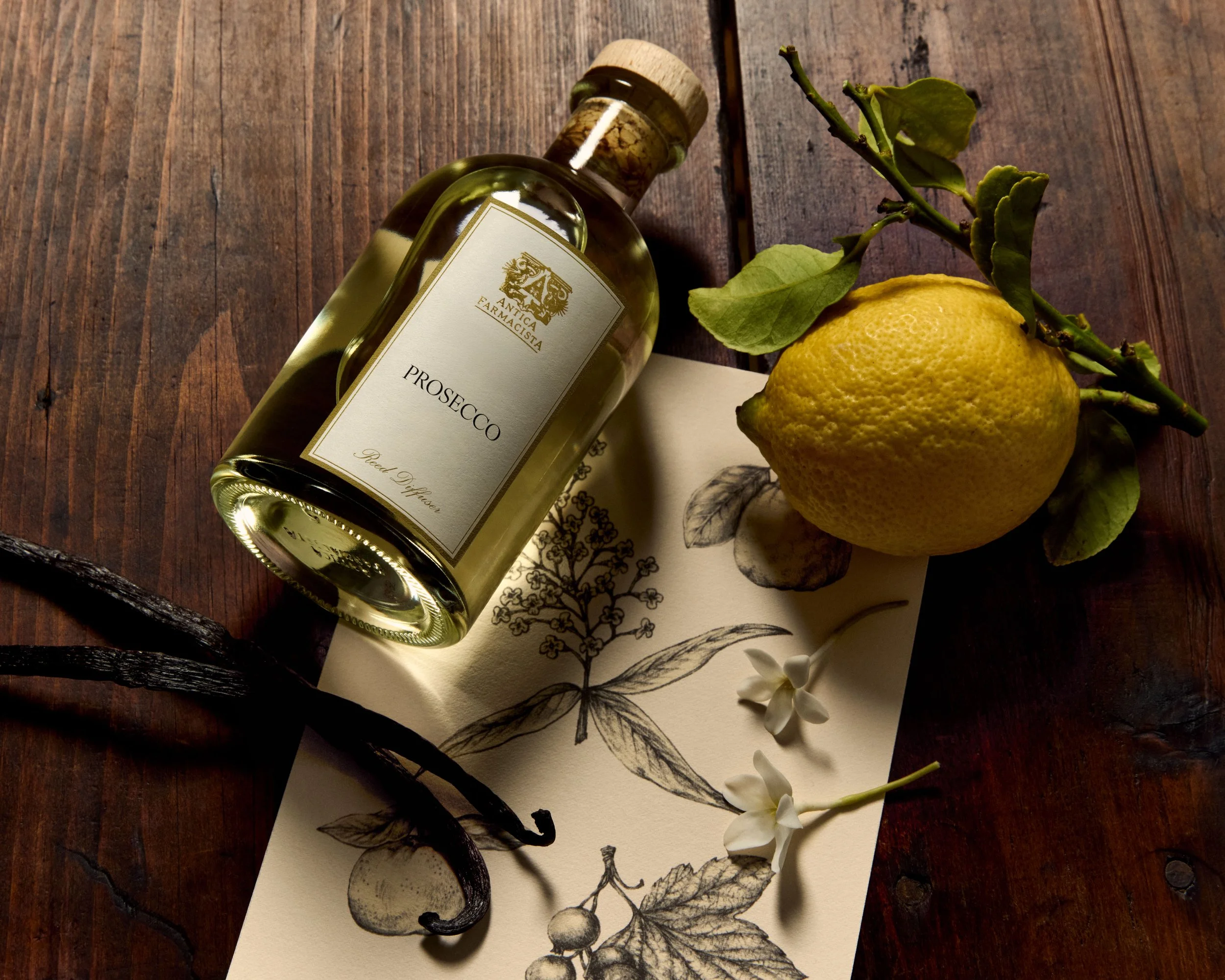 AF_Apothecary_Illustrations_025_b.jpg