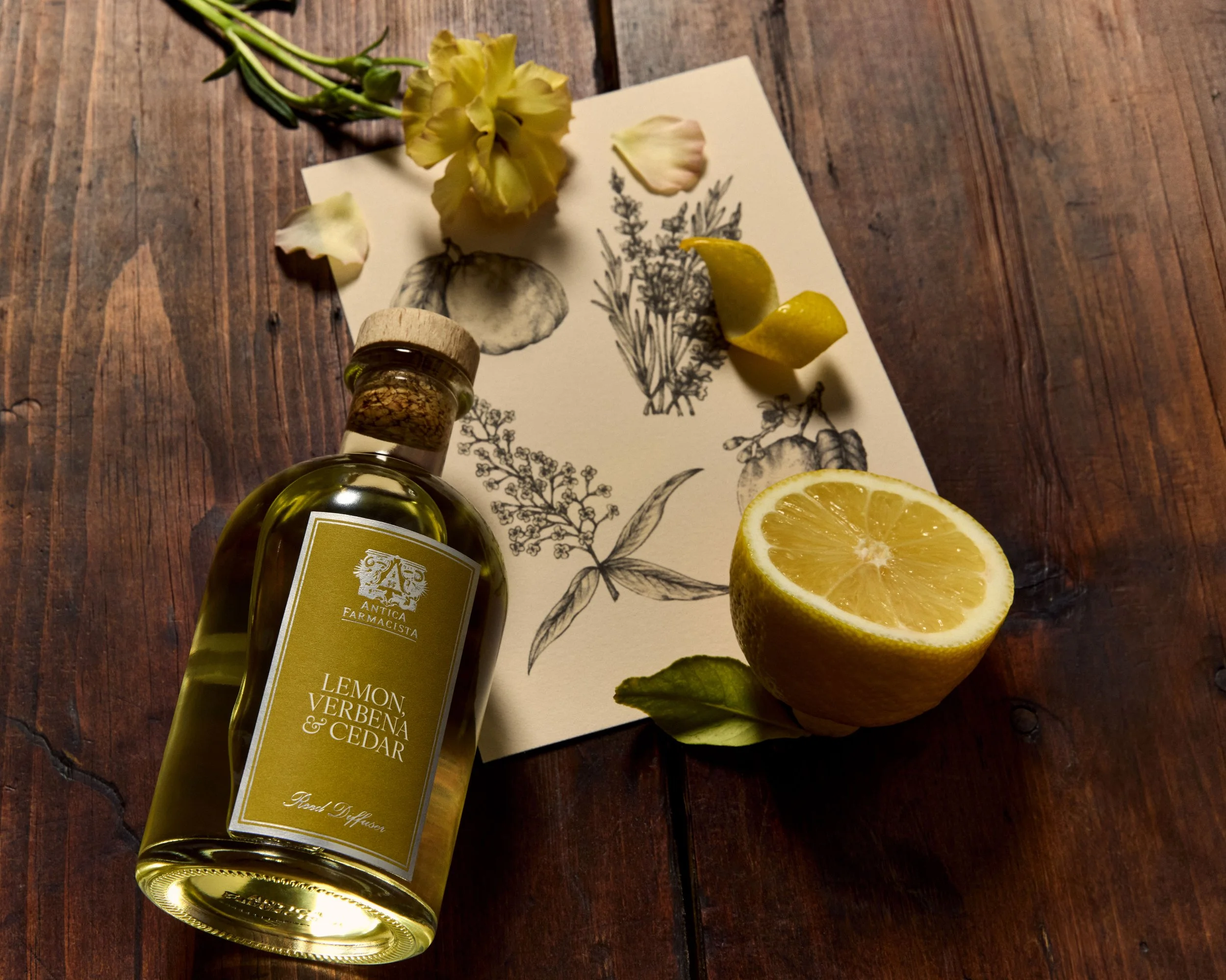 AF_Apothecary_Illustrations_104_b.jpg