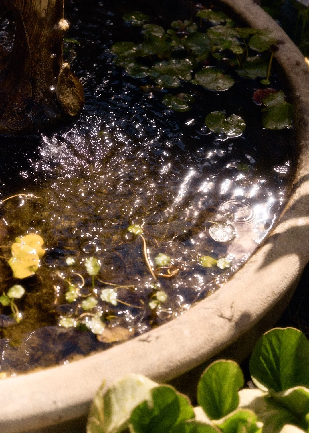 Outside_067.jpg