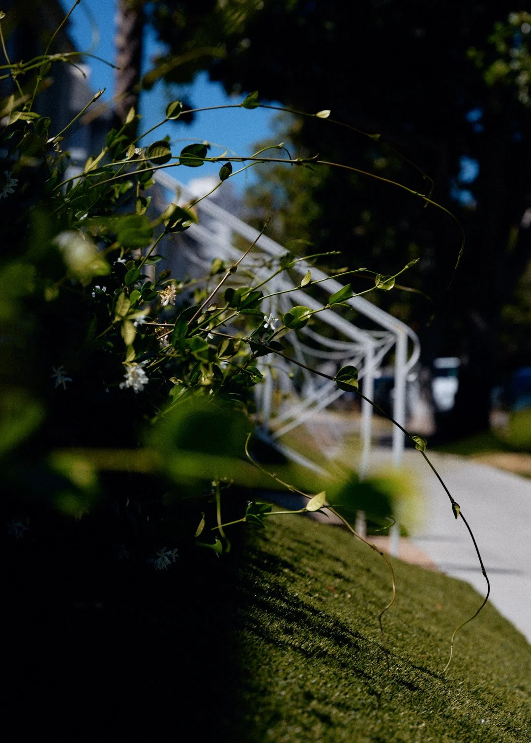 Outside_036.jpg