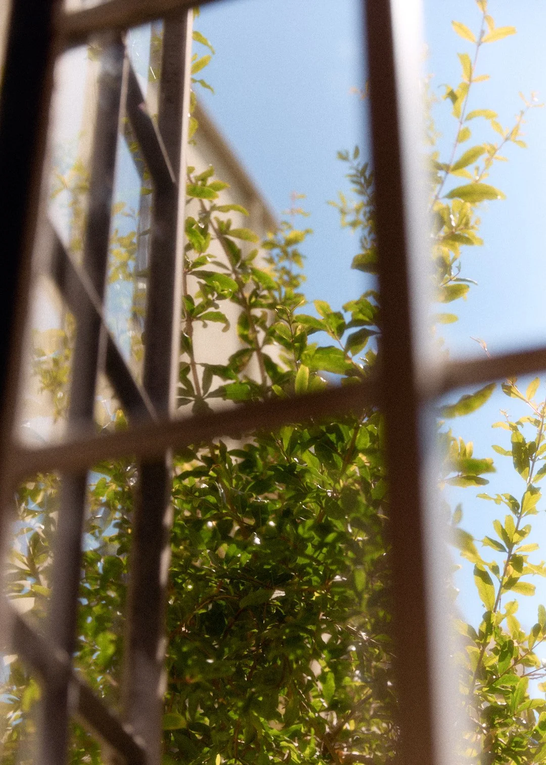 Outside_095.jpg