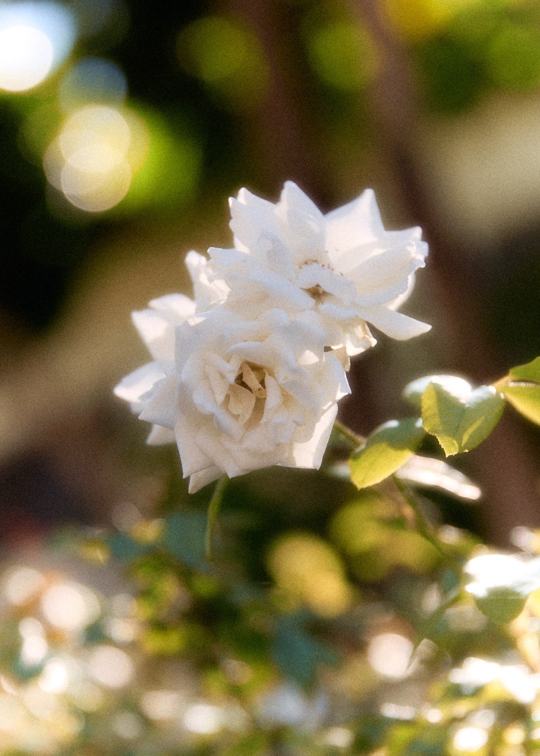 Outside_046.jpg