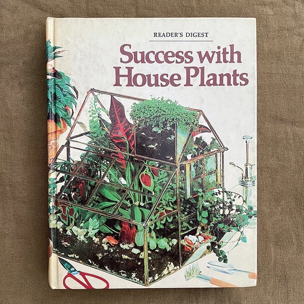 Lofted library of my dreams

Success With House Plants, 1979
The Reader&rsquo;s Digest Association Inc, Edited &amp; Designed by Dorling Kindersley  Inc

#terarrium #ficus #maranta #plantlibrary #brassaia #calathea #calatheamakoyana #palm #howea #eup