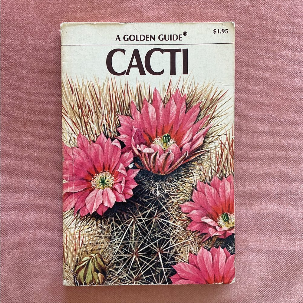 &ldquo;These curious plants&rdquo;

Golden Guide Cacti, 1974
Western Publishing Co, Inc
By Frank D. Venning, Illustrated by Manabu Saito

#exoticcacti #echinocactus #turkshead #devilshead #horsecrippler #barrelcactus #astrophytum #bishopscap #seaurch