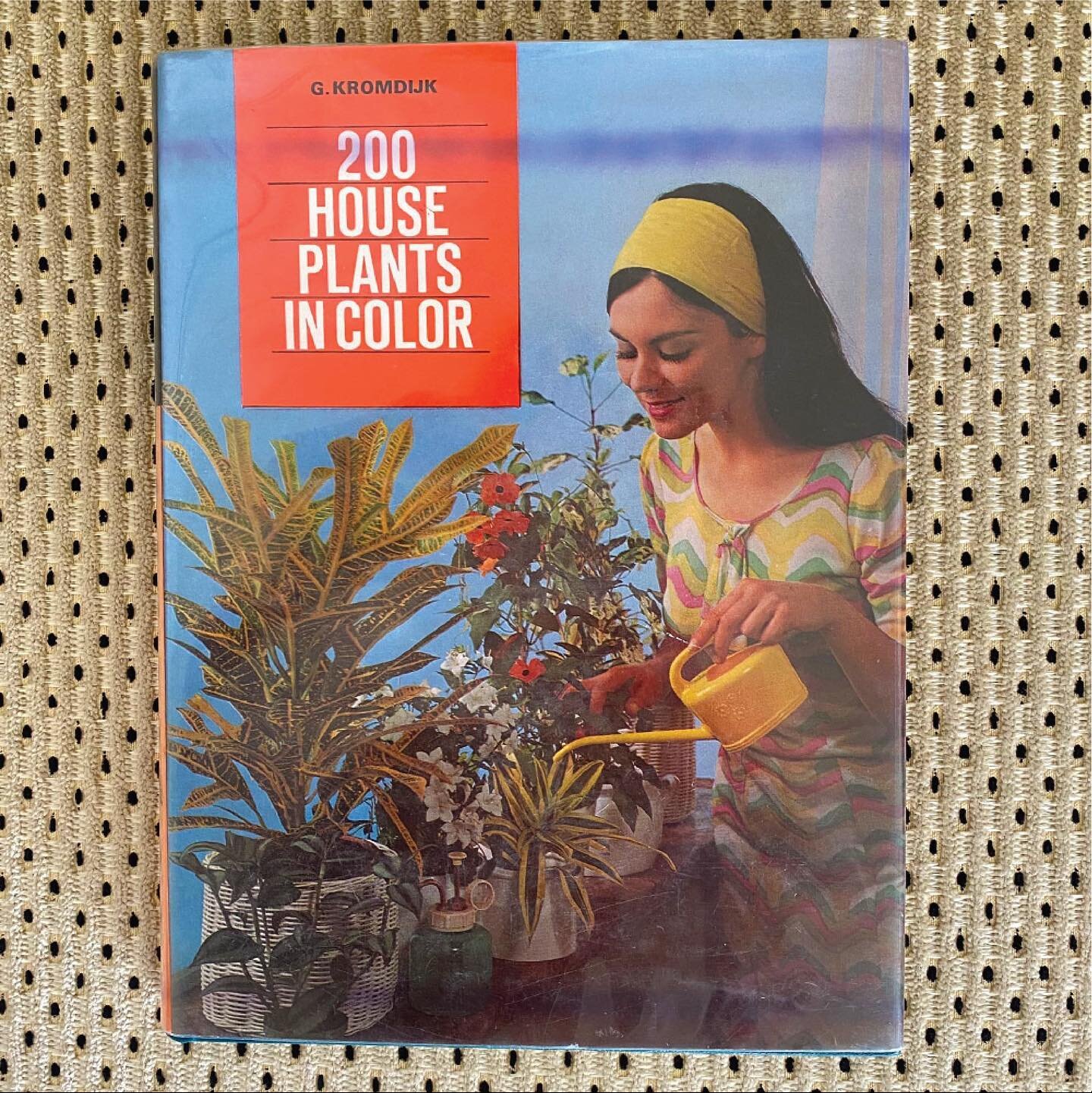&ldquo;The ancestors of our house plants were wild&rdquo; 

200 House Plants in Color, 1973
Herder and Herder, By G.Kromdijk

#croton #tradescantiazebrina #inchplant  #montseradeliciosa #montsera #swisscheeseplant #cactus #chamaecereussilvestrii #pea