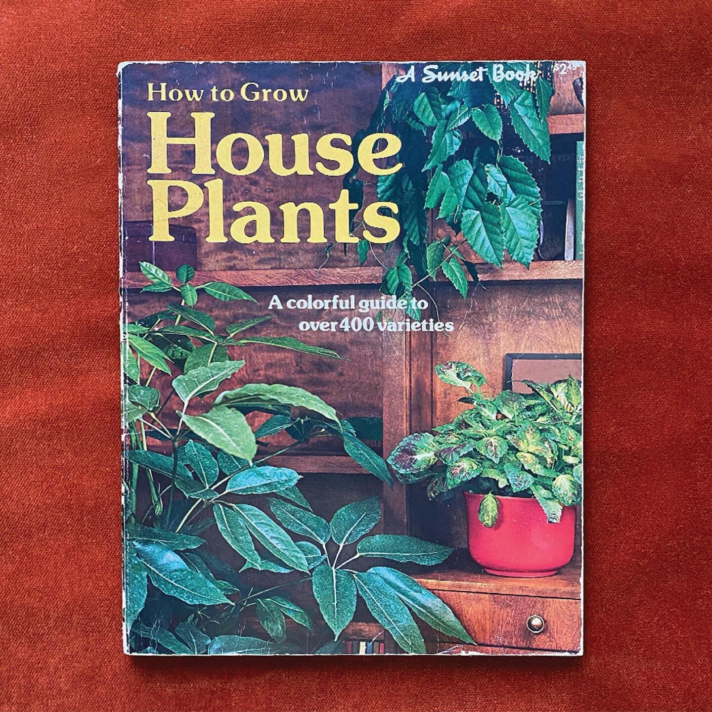 Choose your partner like you choose your house plants 

How To Grow House Plants, 1977
Sunset Booke, Artwork by Dinah James

#kangaroovine #coleusblumei #paintednettle #brassiamaculata #orchid #tolmieamenziesii #piggybackplant #fern #platyceriumbifur